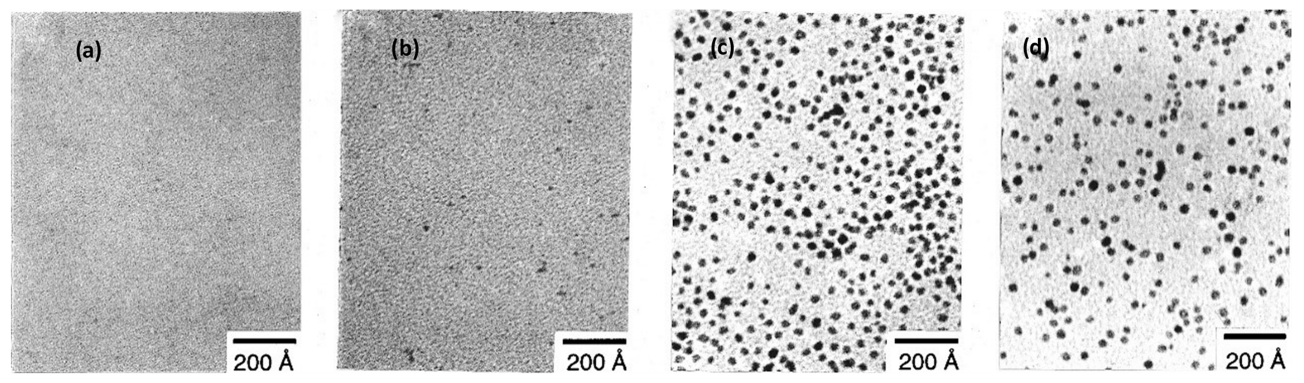 Nanomaterials 11 01895 g002
