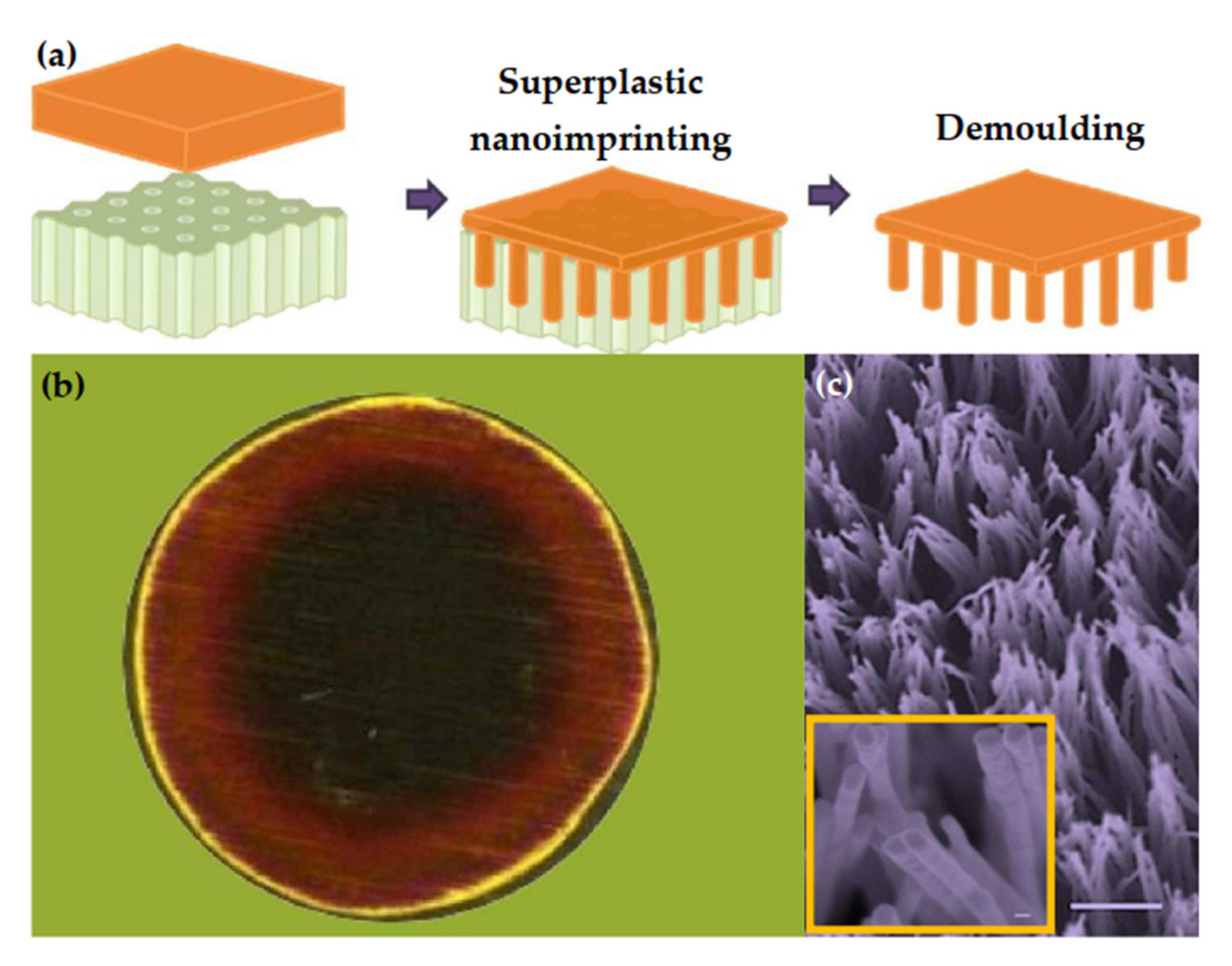 Nanomaterials 11 01895 g006