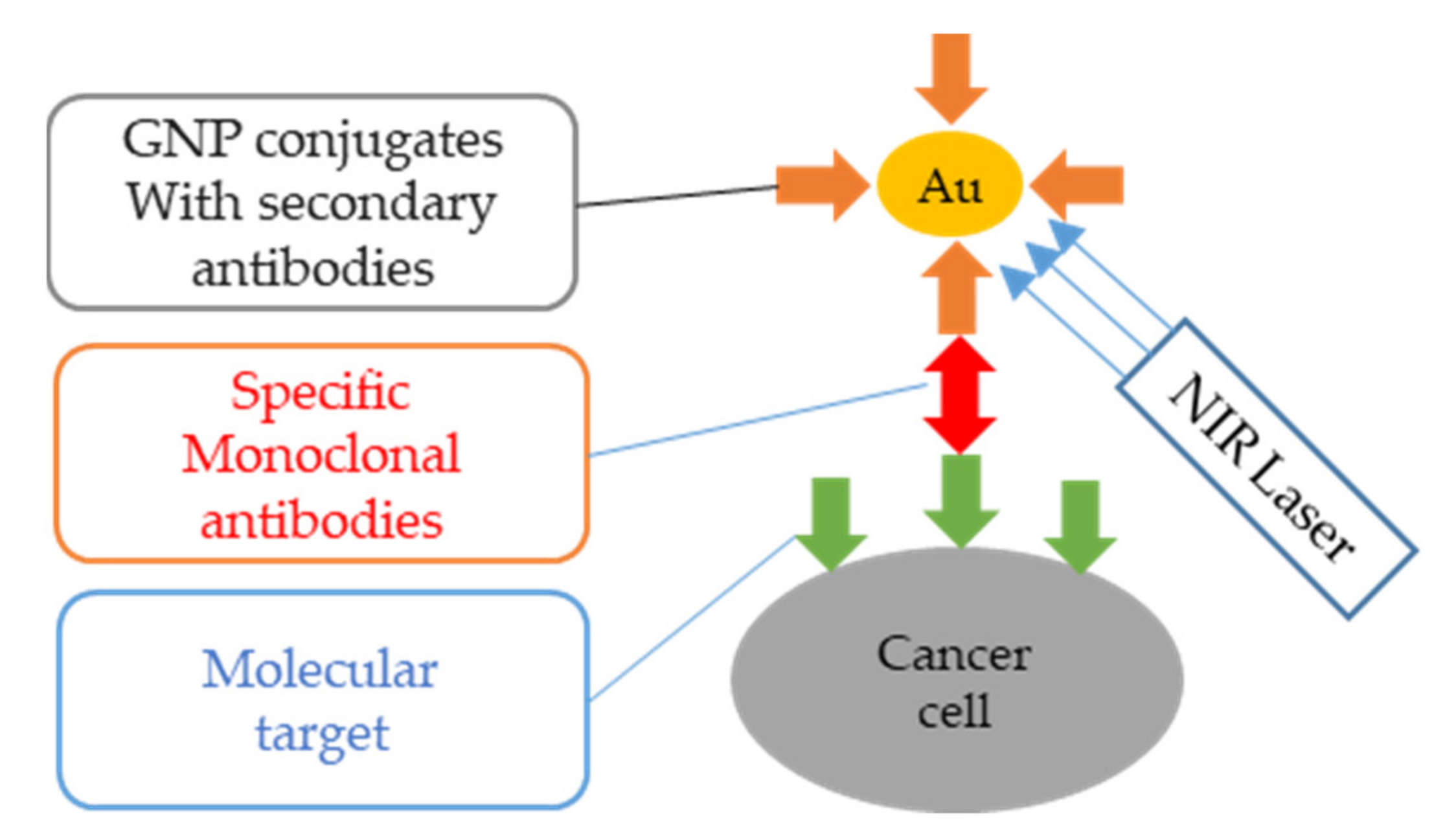 Nanomaterials 11 01895 g014