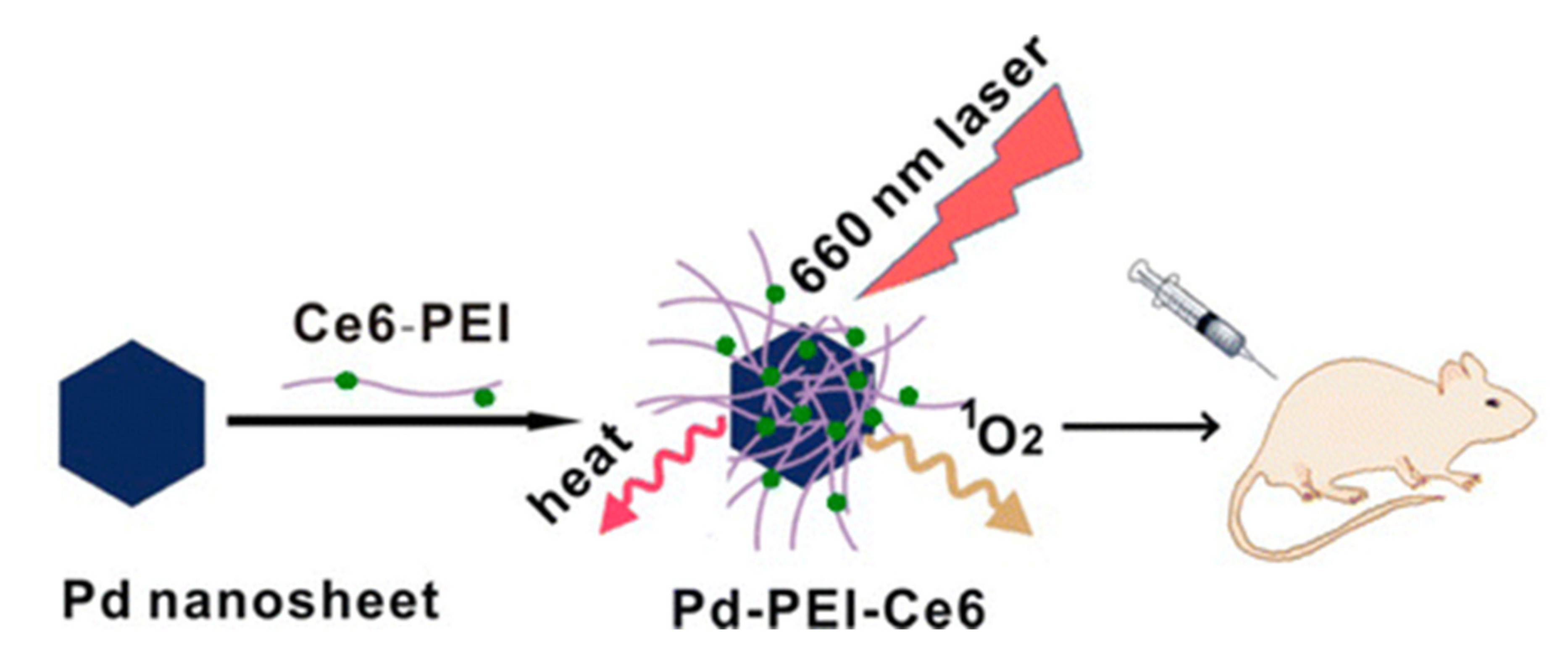 Nanomaterials 11 01895 g015