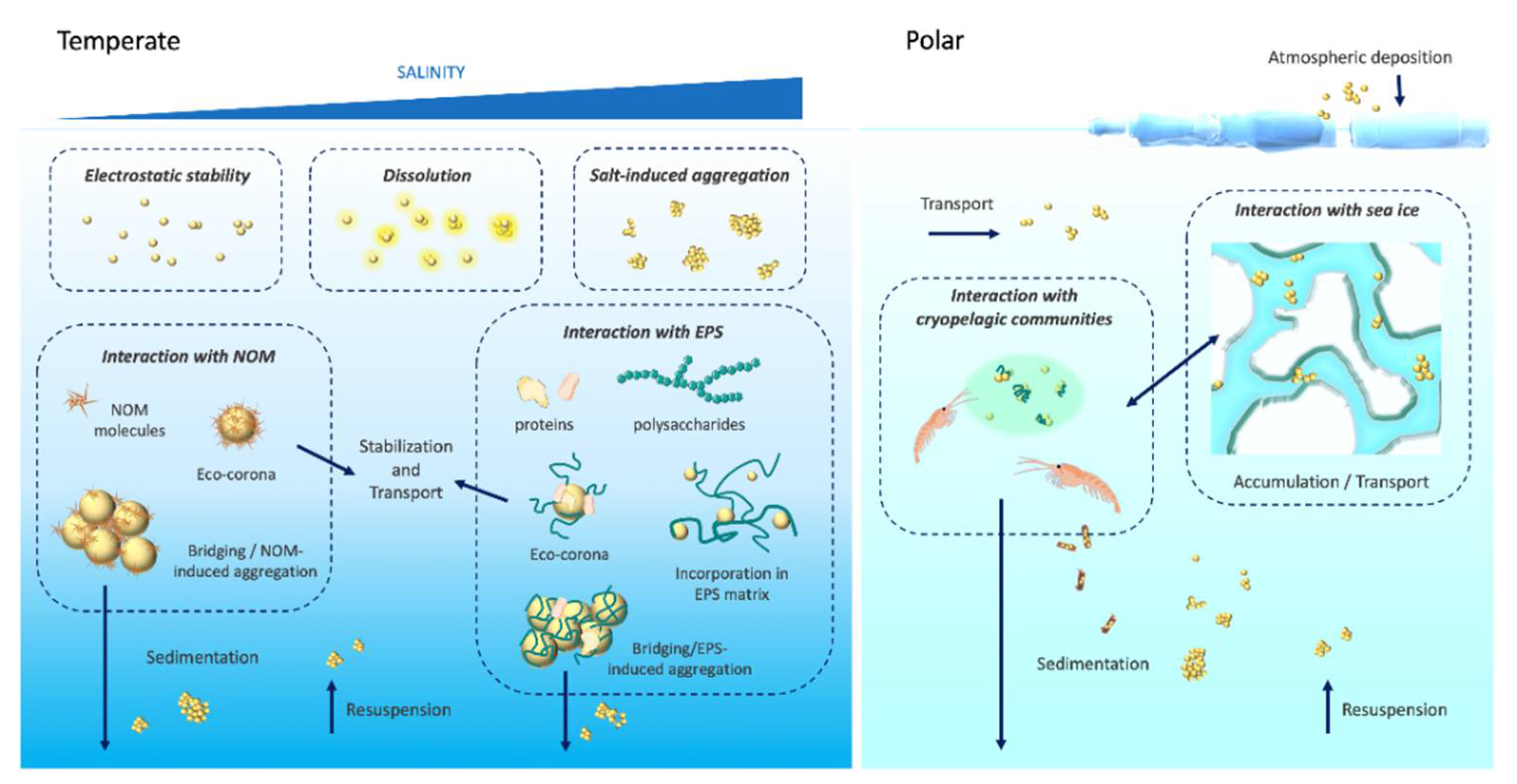 Nanomaterials 11 01903 g002
