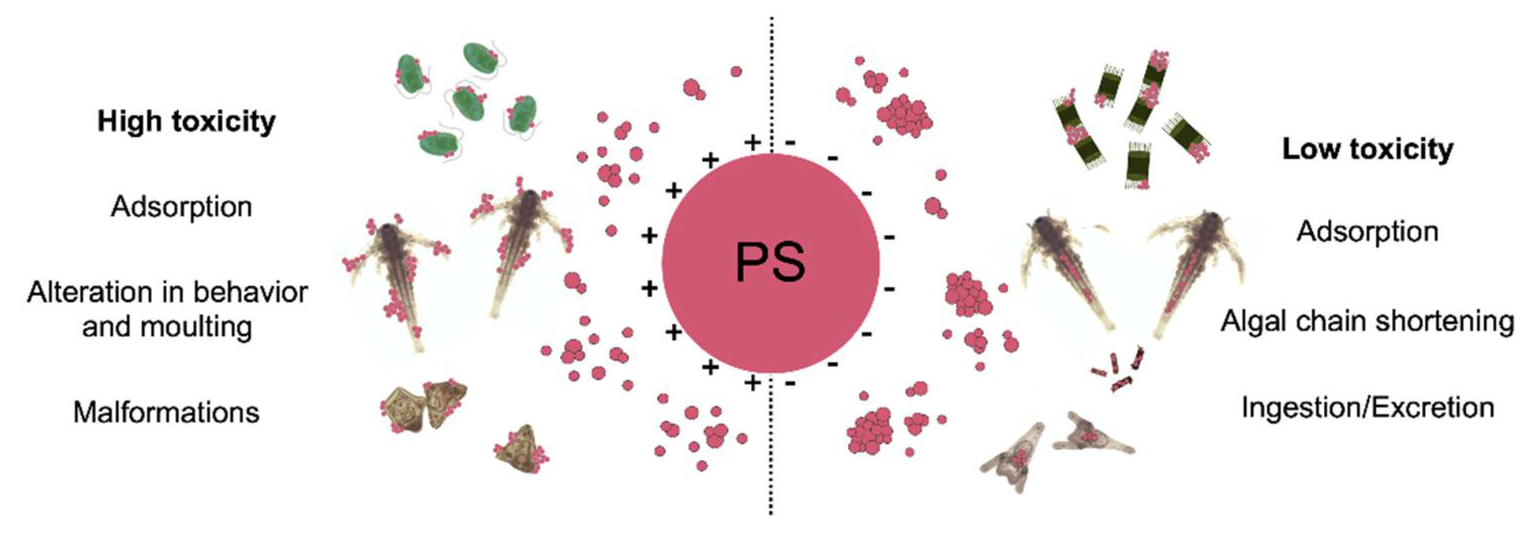 Nanomaterials 11 01903 g005