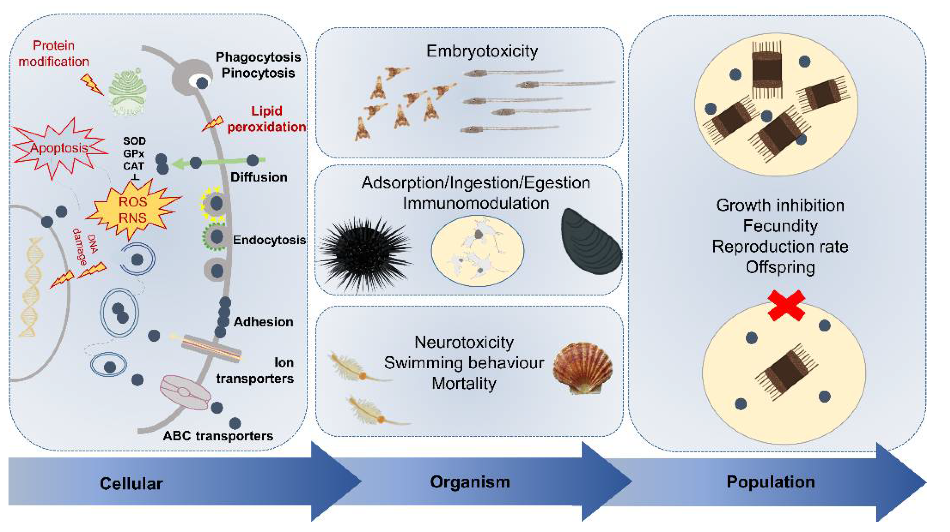 Nanomaterials 11 01903 g006