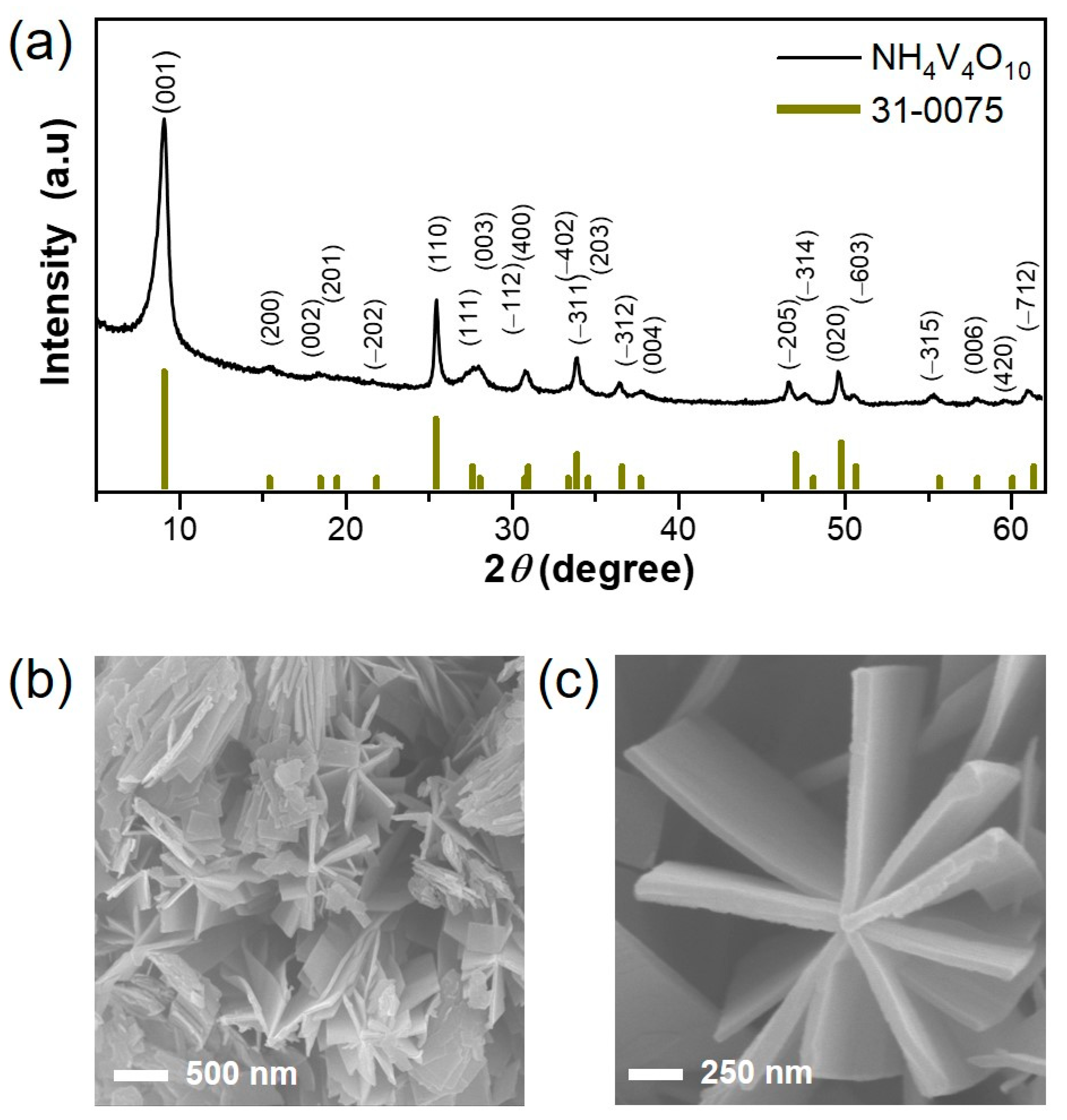 Nanomaterials 11 01905 g001
