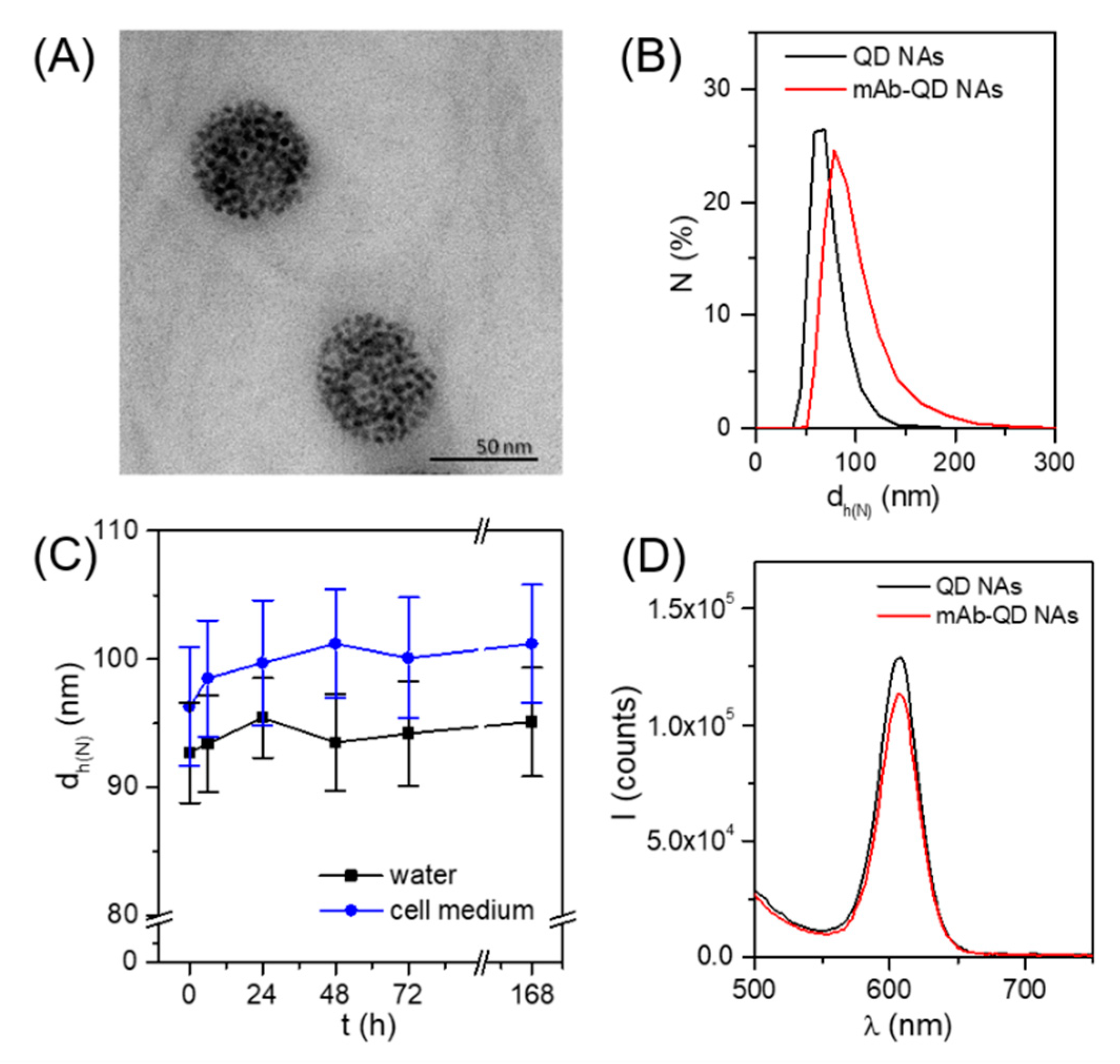 Nanomaterials 11 01906 g002