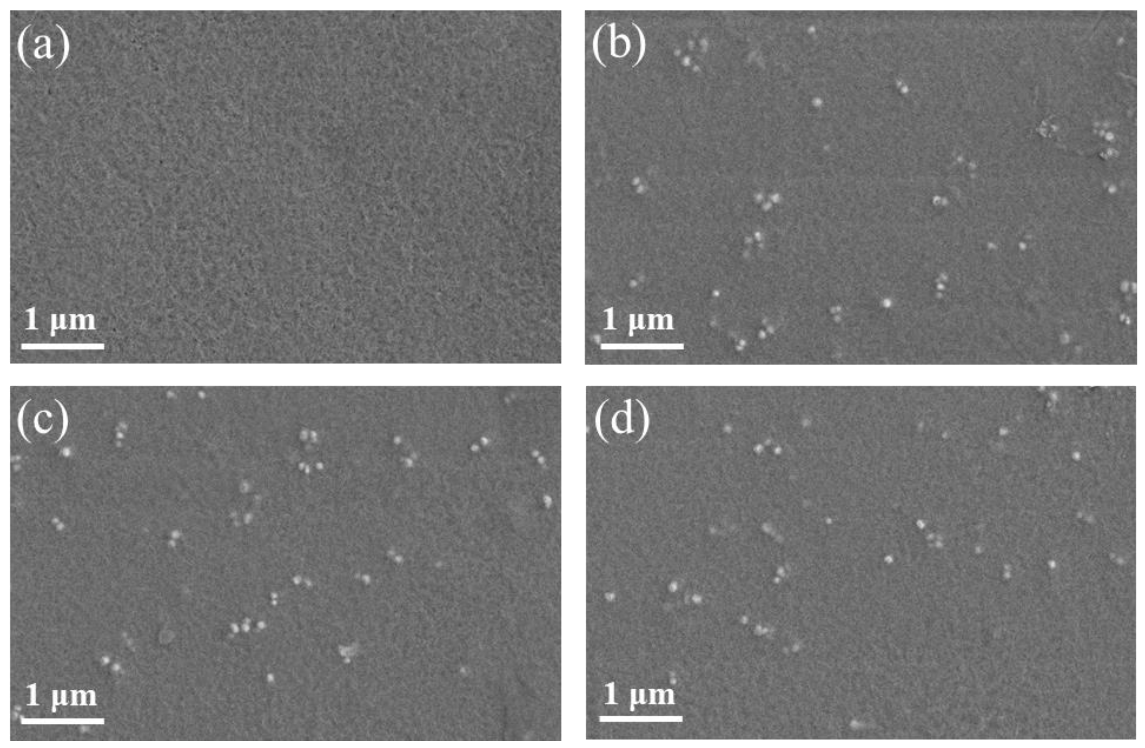 Nanomaterials 11 01908 g003
