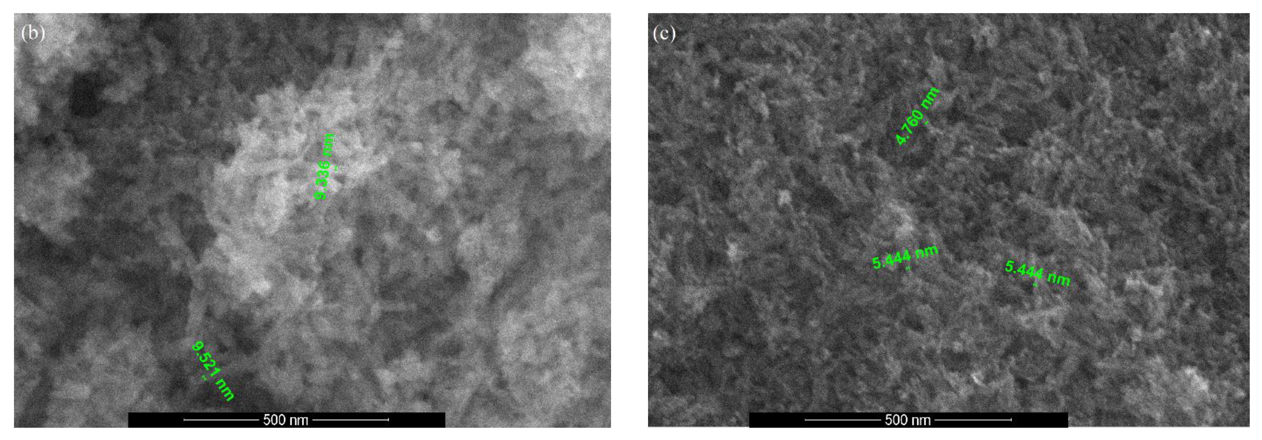 Nanomaterials 11 01911 g005b