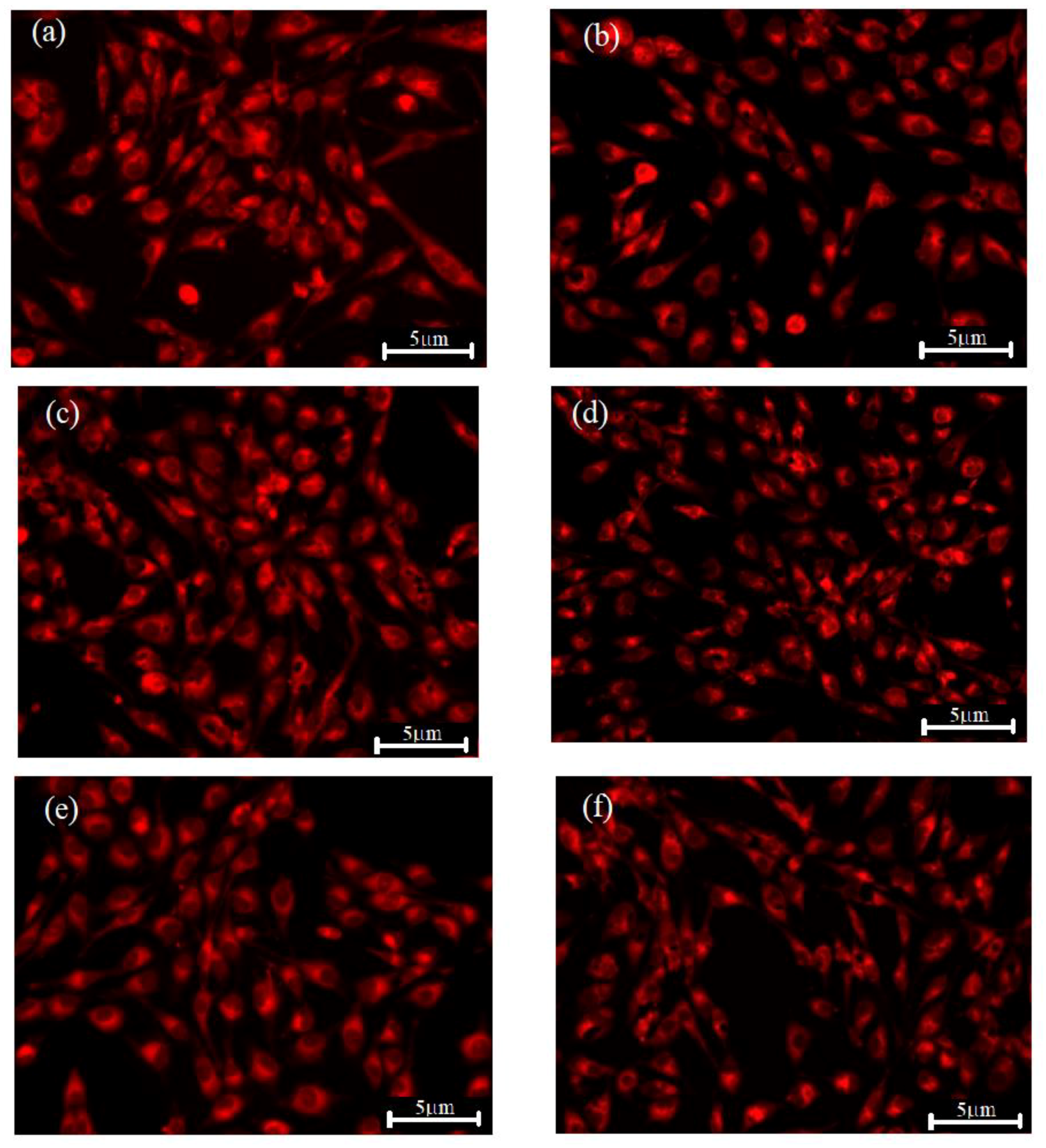 Nanomaterials 11 01911 g011