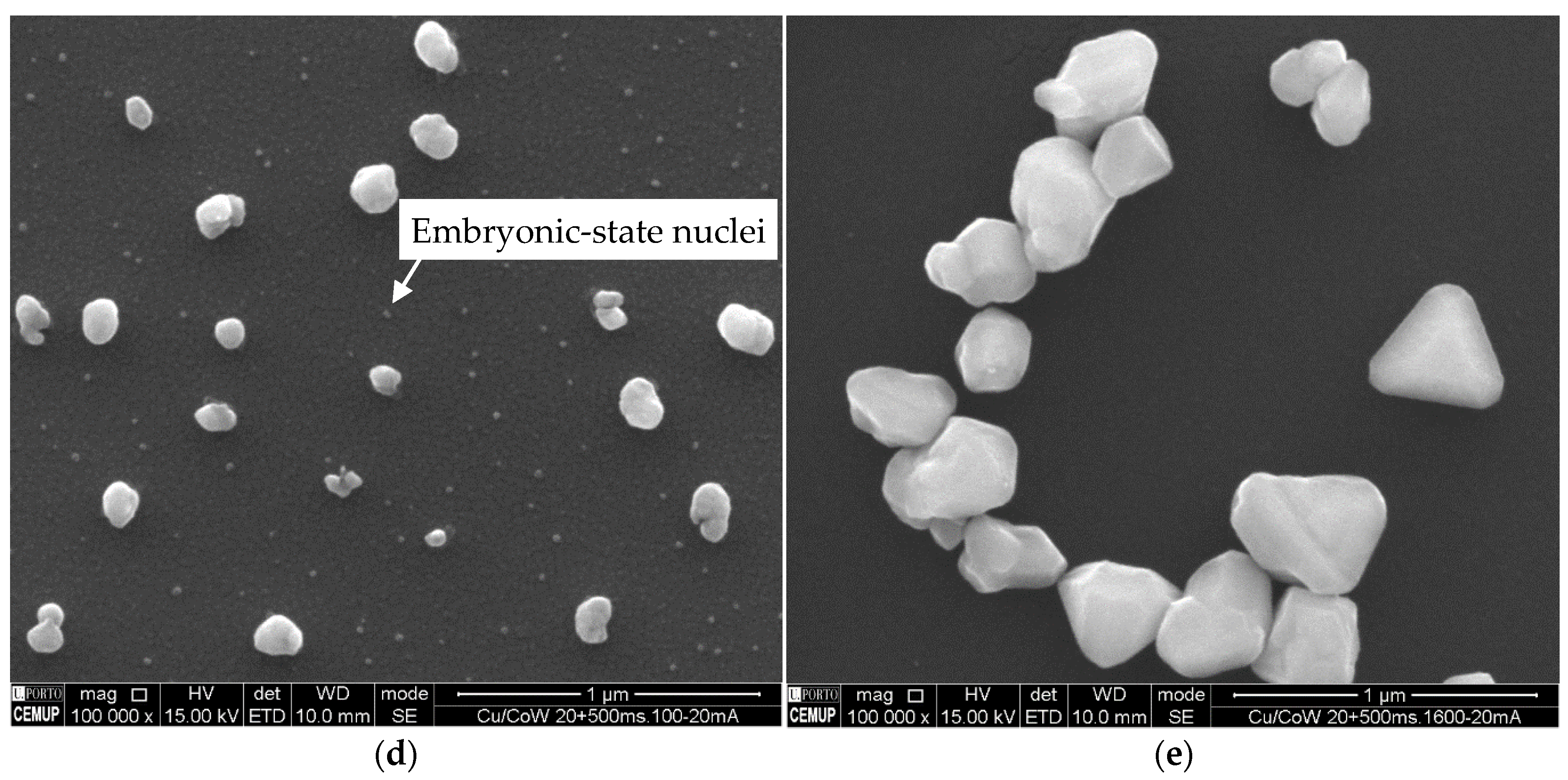 Nanomaterials 11 01914 g005b