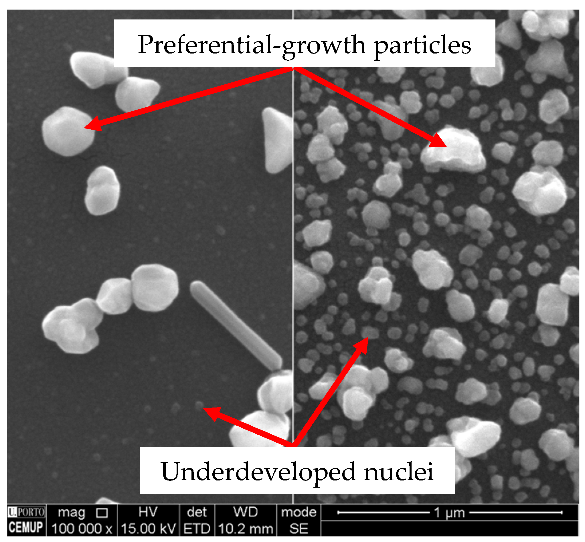 Nanomaterials 11 01914 g010