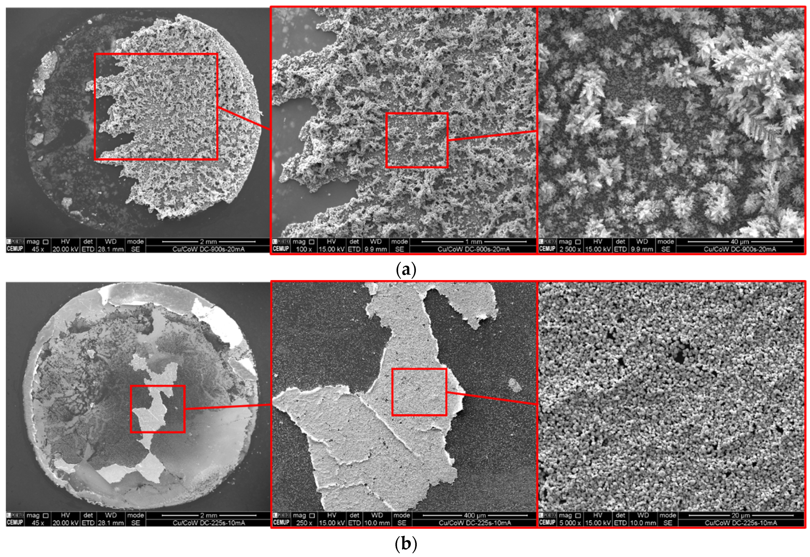 Nanomaterials 11 01914 g011