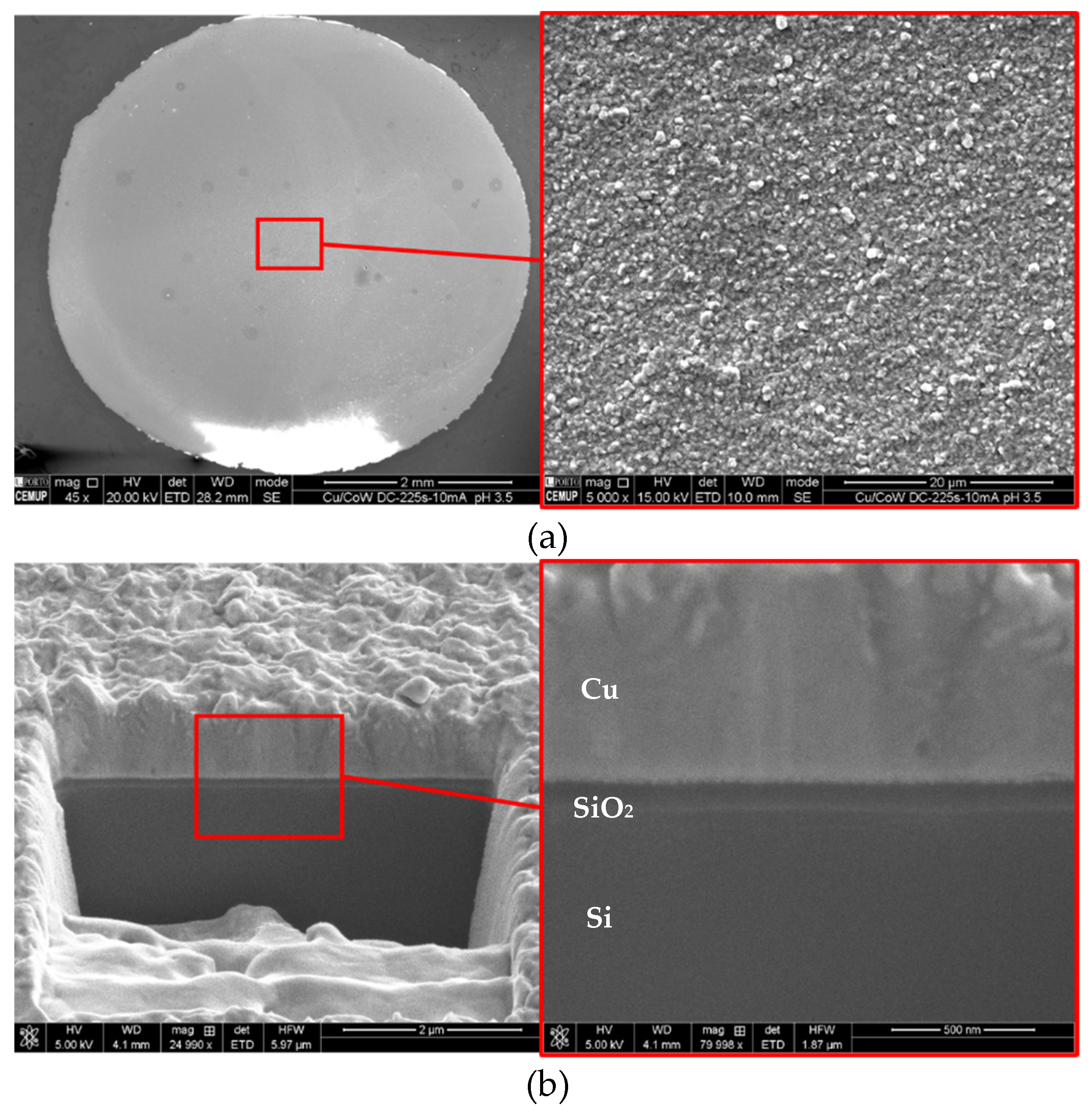 Nanomaterials 11 01914 g012