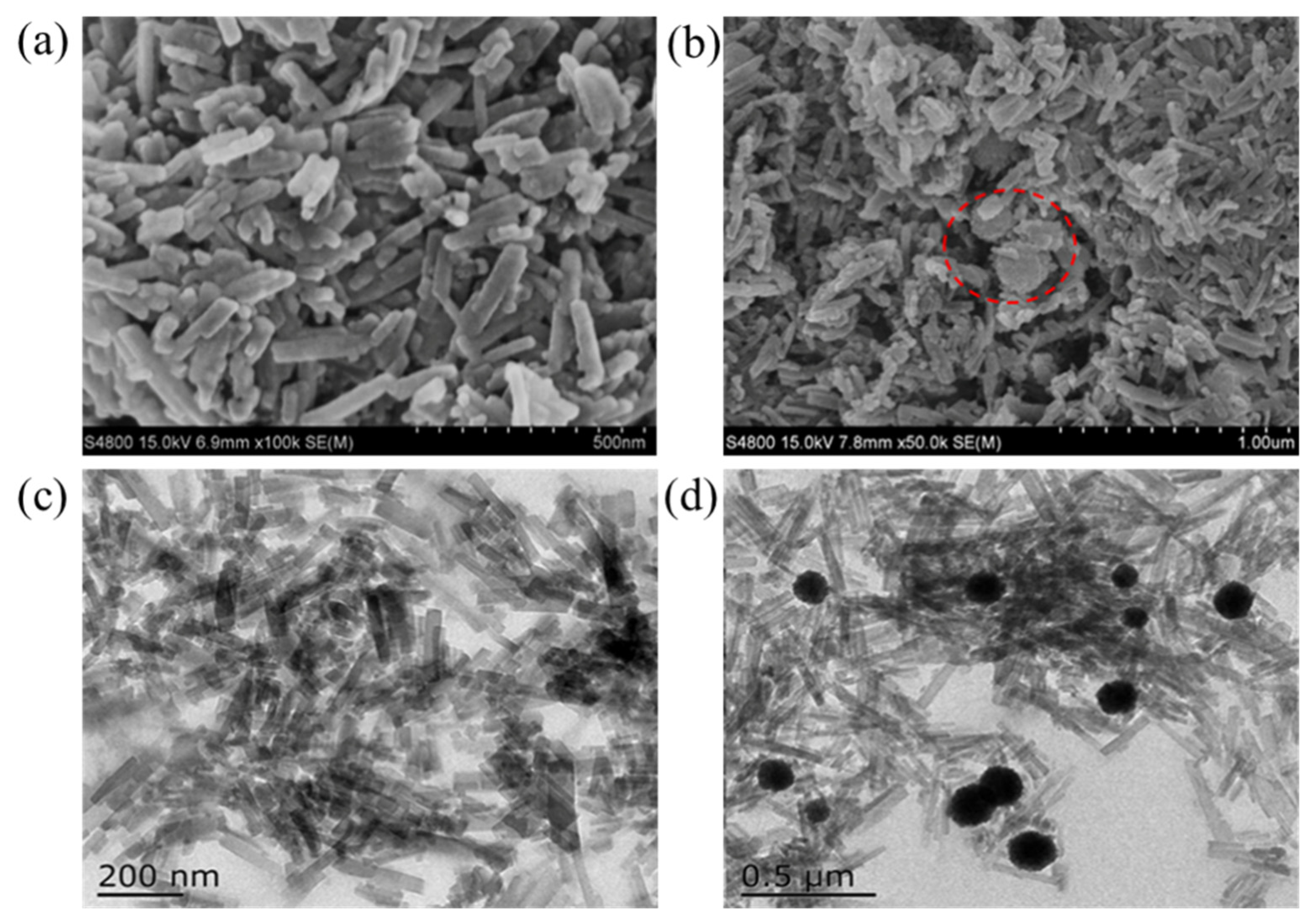 Nanomaterials 11 01917 g002