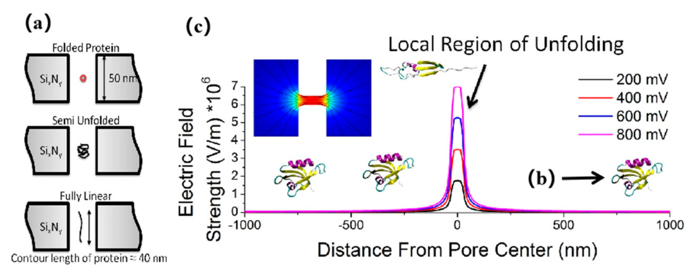 Nanomaterials 11 01942 g001