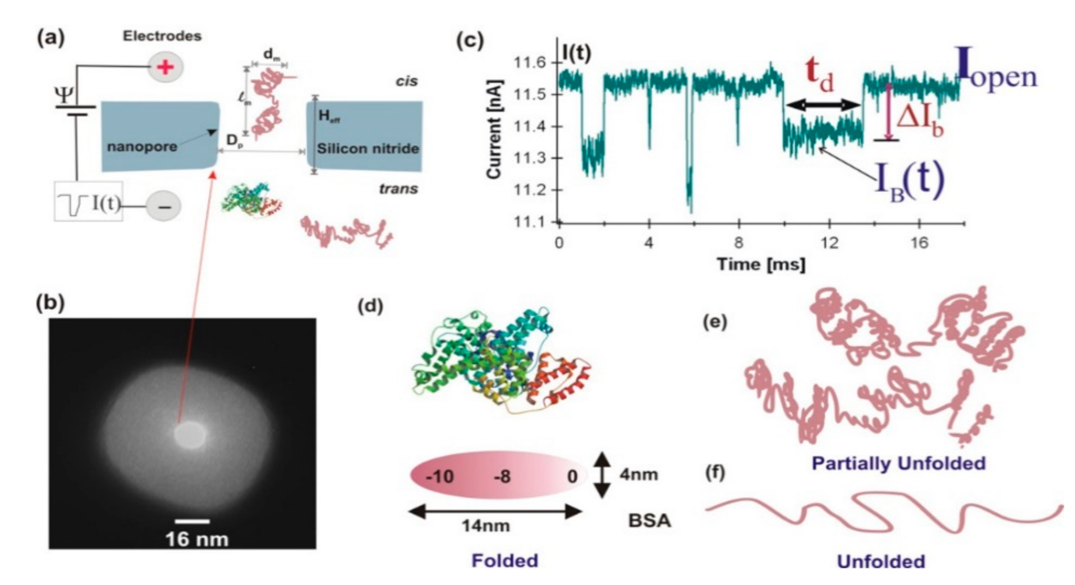 Nanomaterials 11 01942 g002