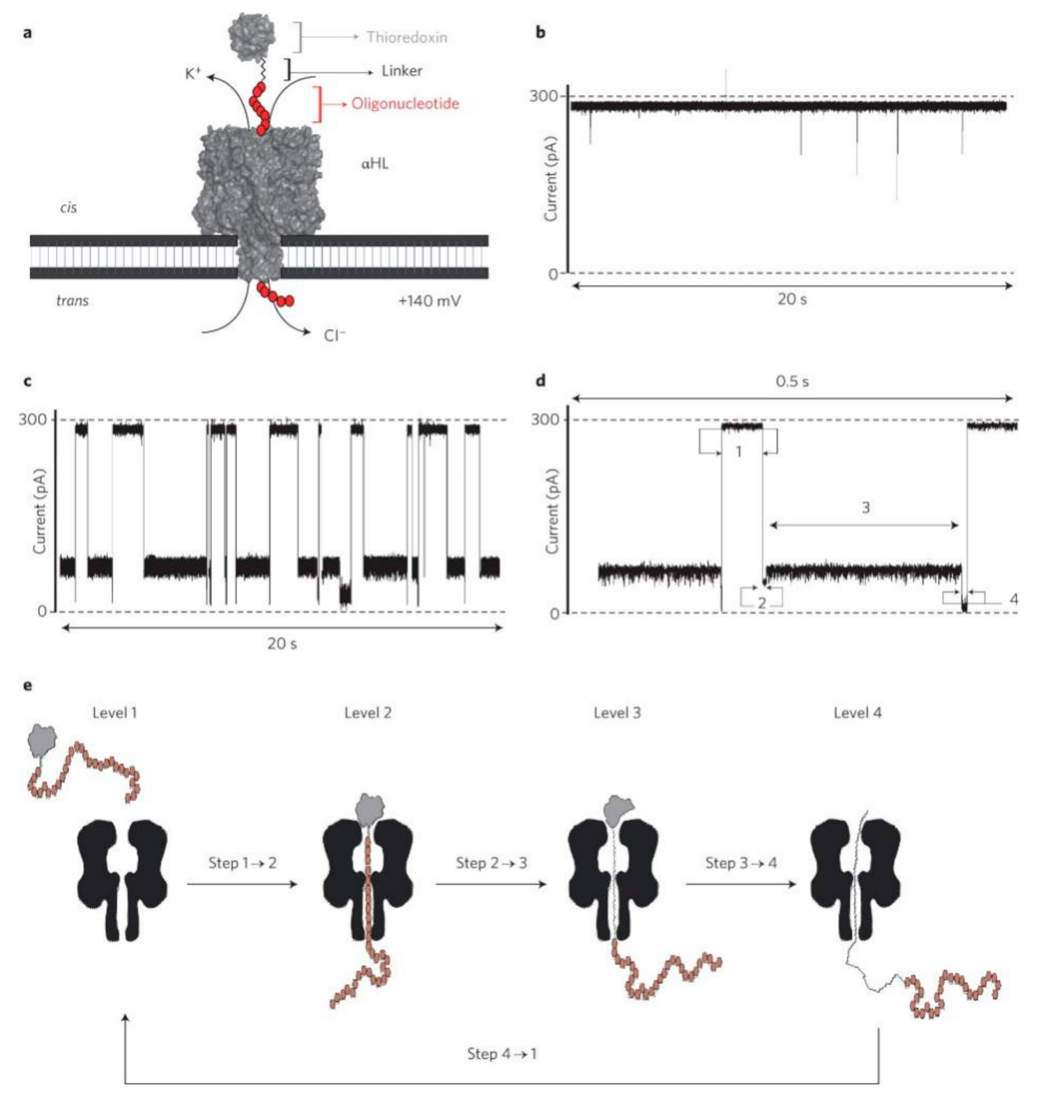 Nanomaterials 11 01942 g003