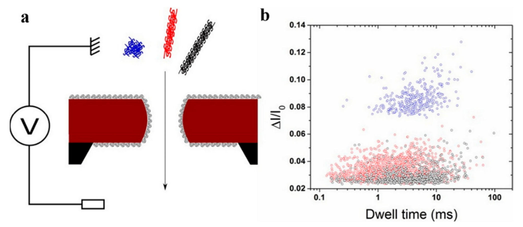 Nanomaterials 11 01942 g004