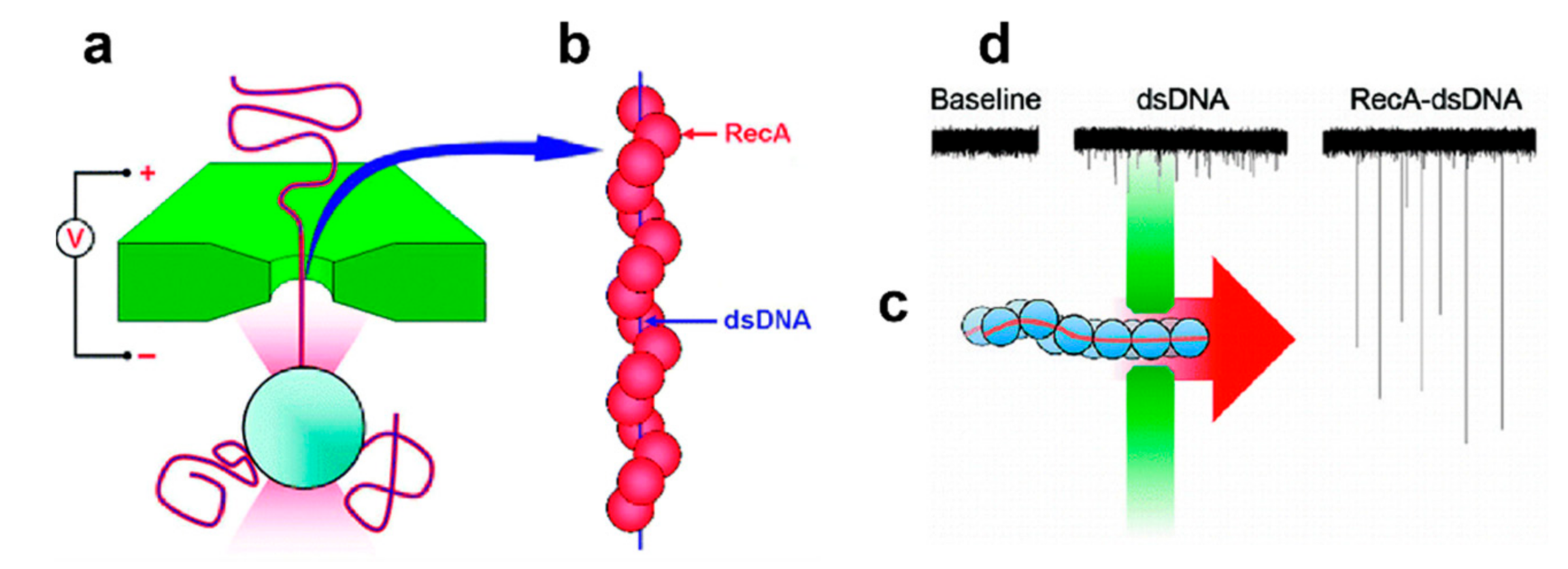 Nanomaterials 11 01942 g007