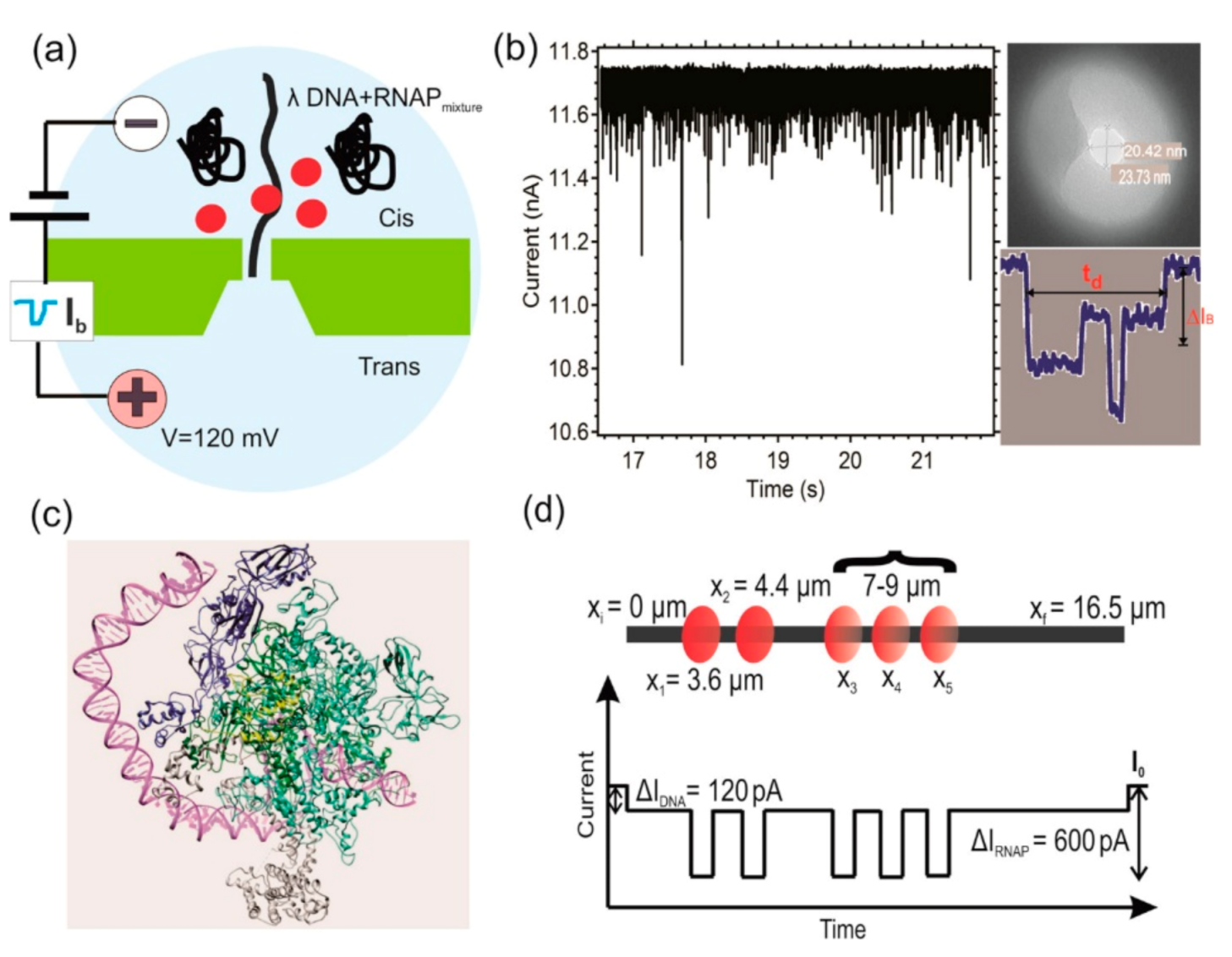 Nanomaterials 11 01942 g008