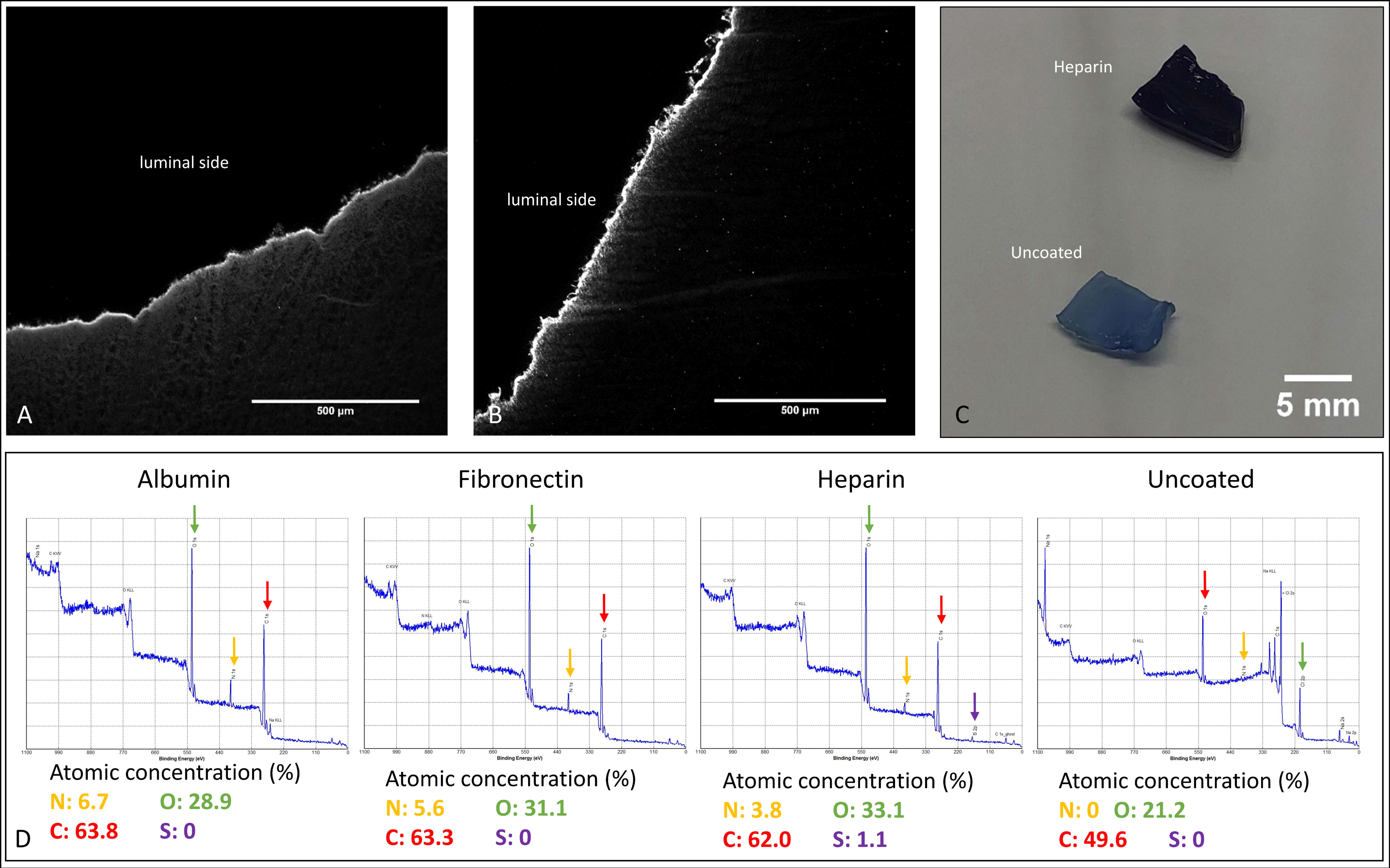 Nanomaterials 11 01952 g002