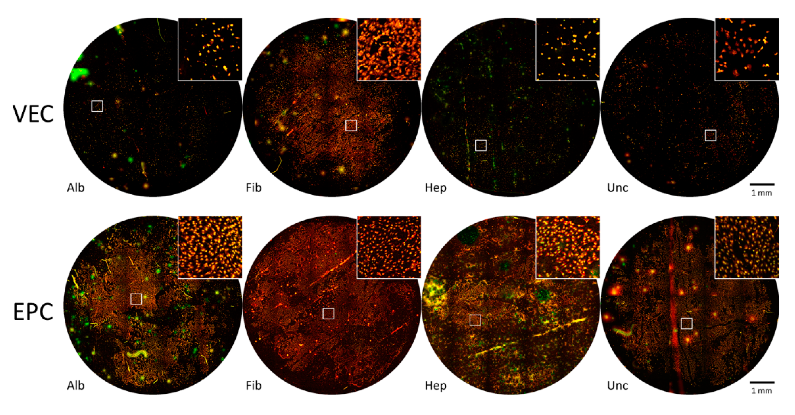 Nanomaterials 11 01952 g004