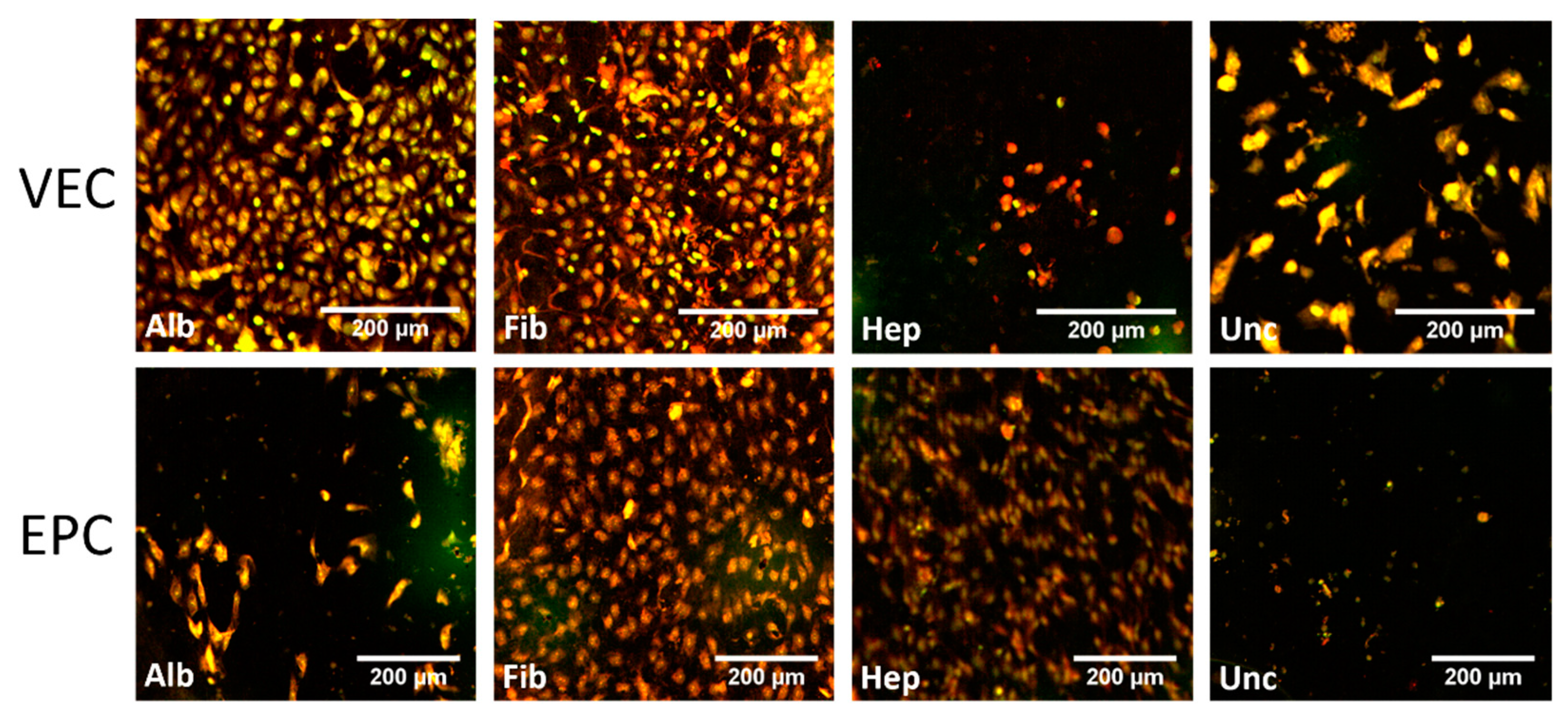 Nanomaterials 11 01952 g005