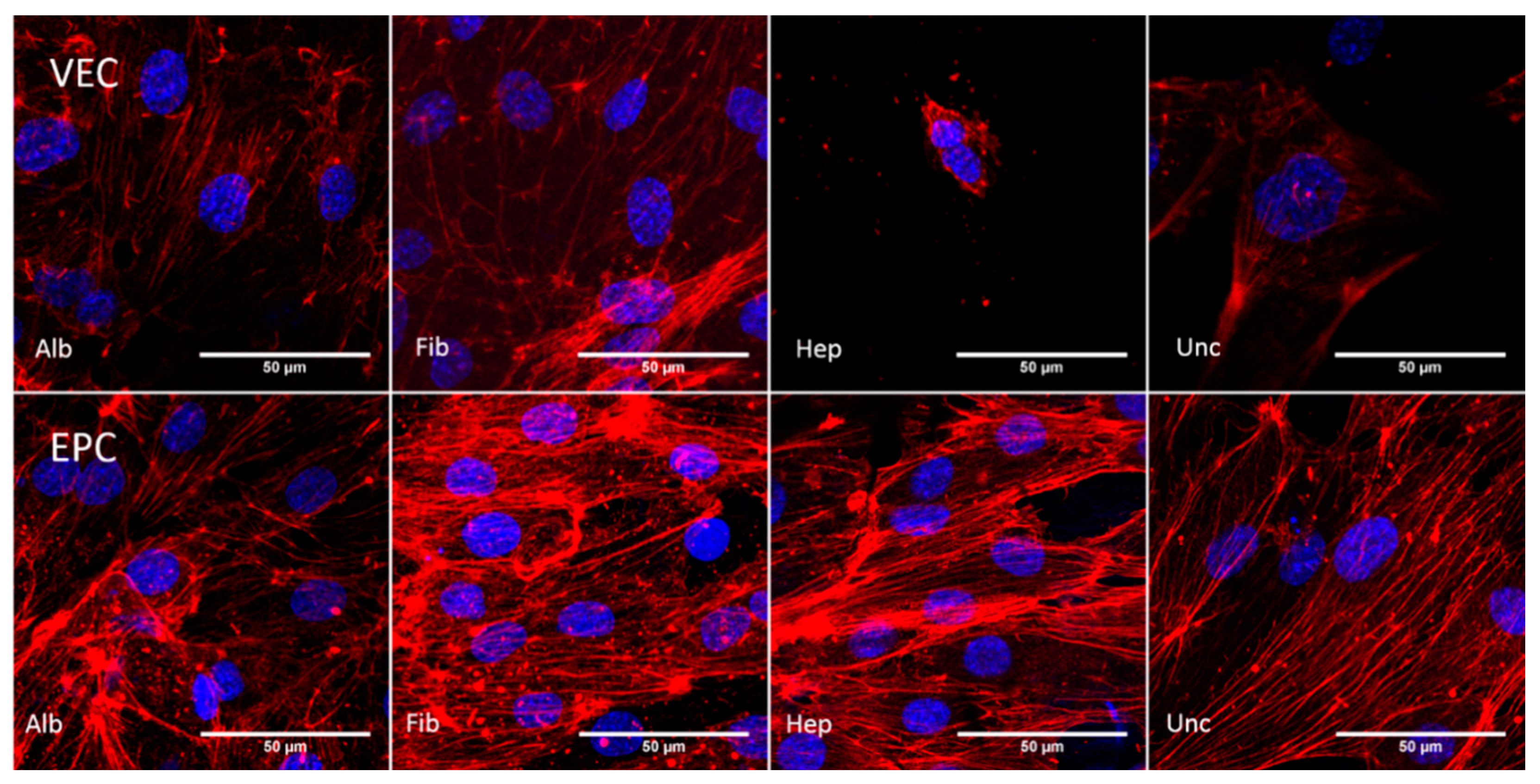 Nanomaterials 11 01952 g006
