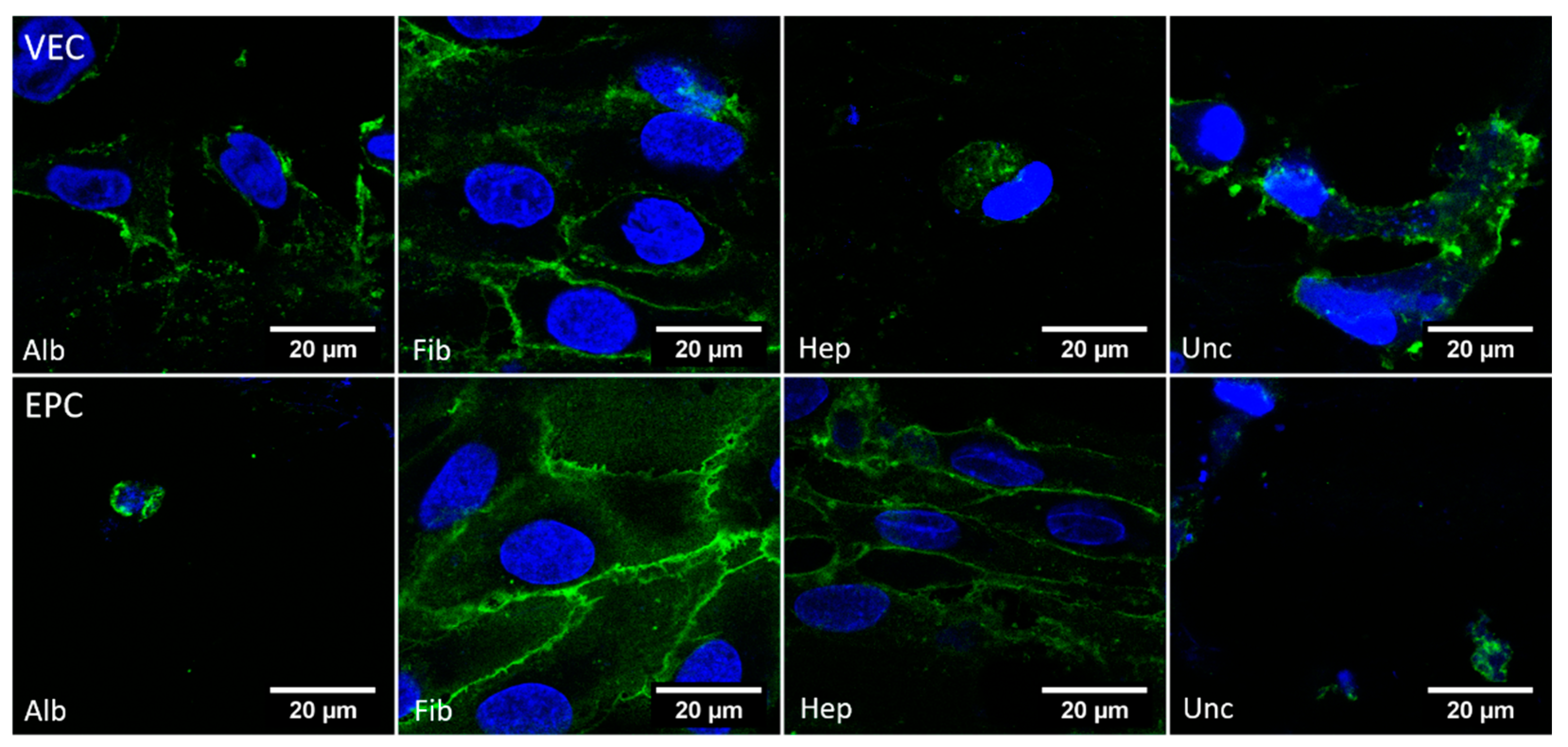 Nanomaterials 11 01952 g008
