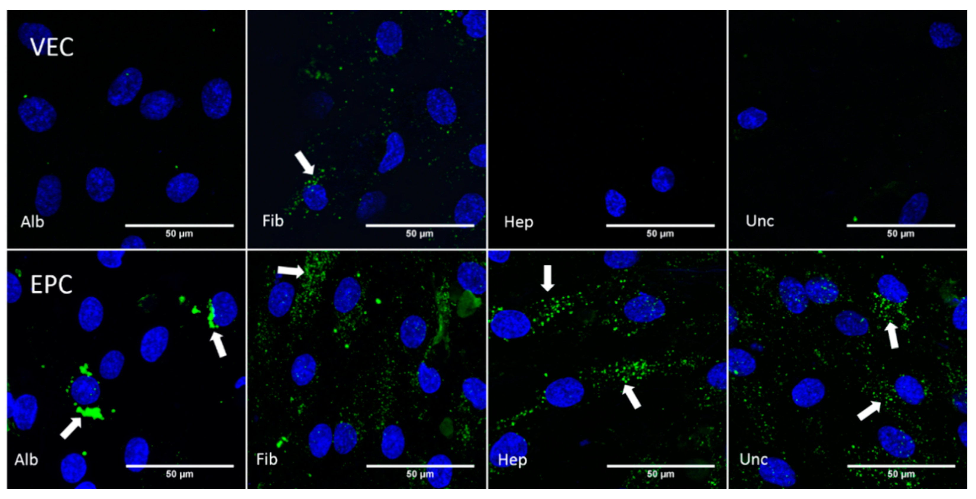 Nanomaterials 11 01952 g009