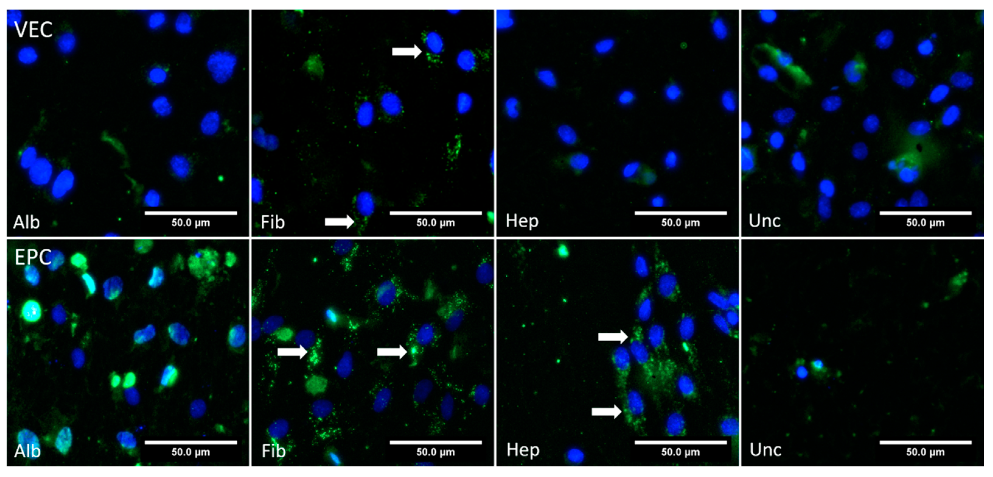 Nanomaterials 11 01952 g010