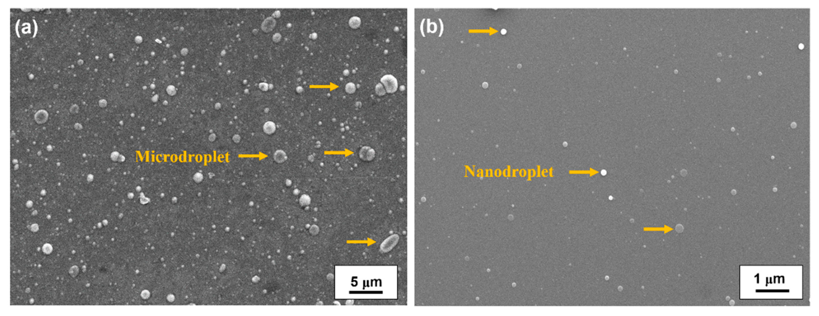 Nanomaterials 11 01954 g002