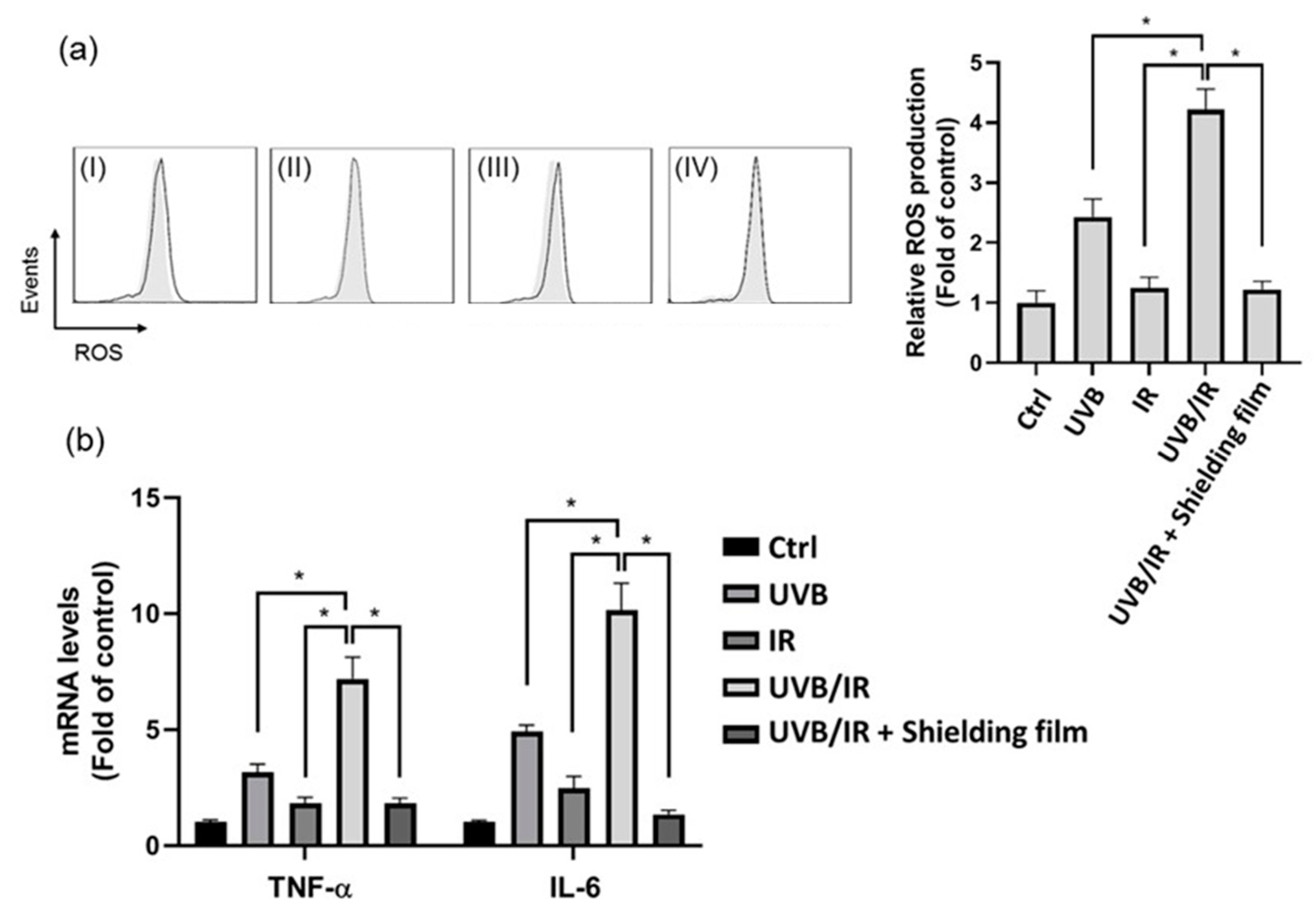 Nanomaterials 11 01954 g010