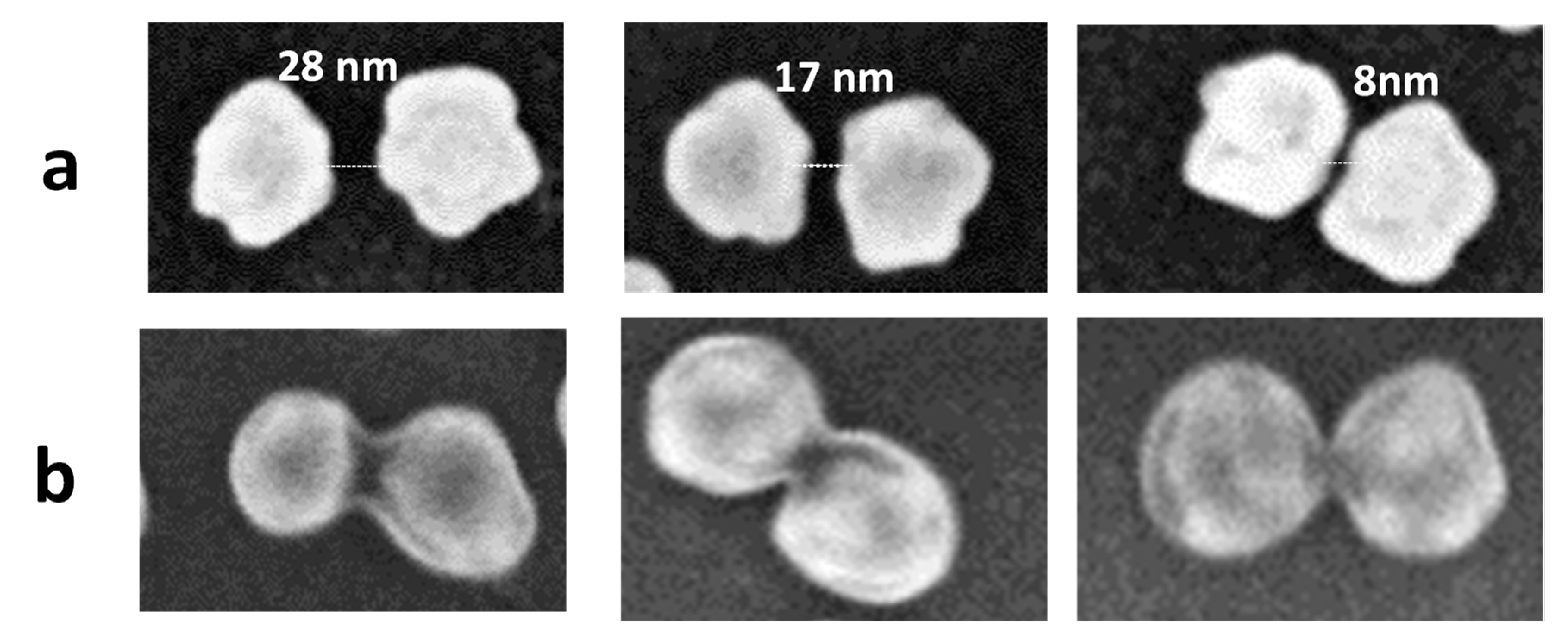 Nanomaterials 11 01957 g005