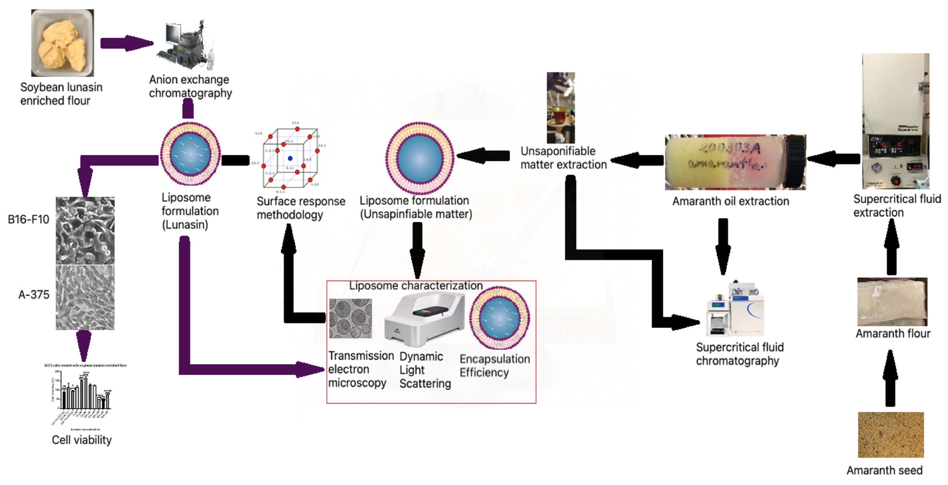 Nanomaterials 11 01960 g001