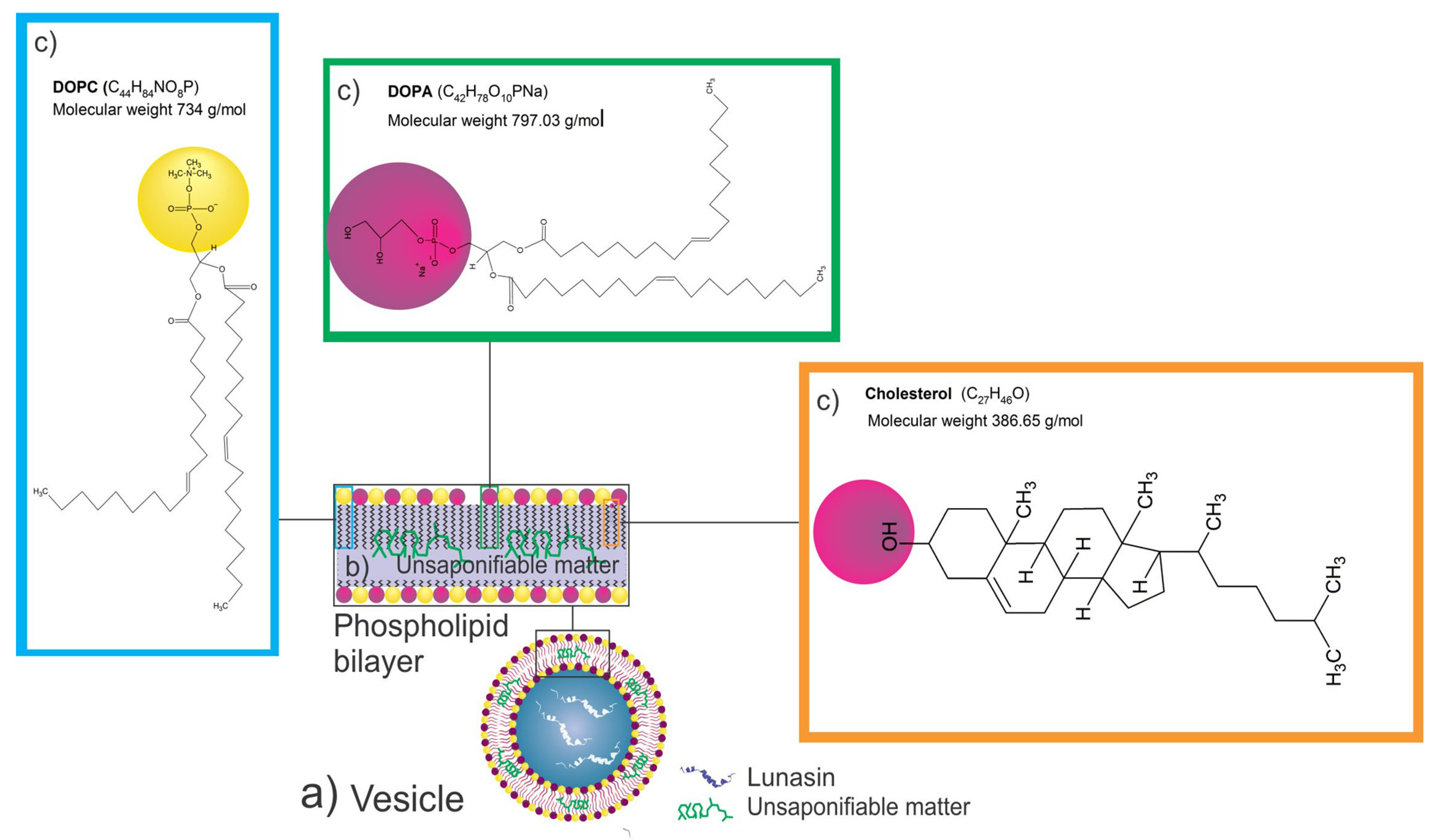 Nanomaterials 11 01960 g004