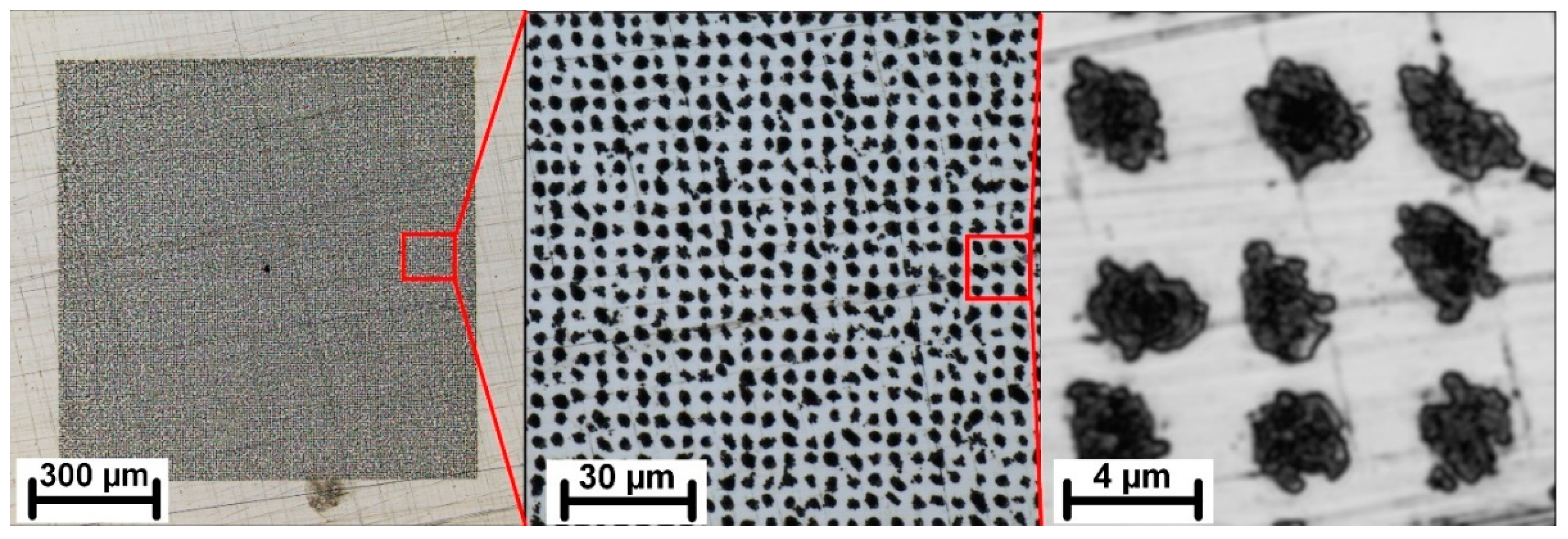 Nanomaterials 11 01987 g003