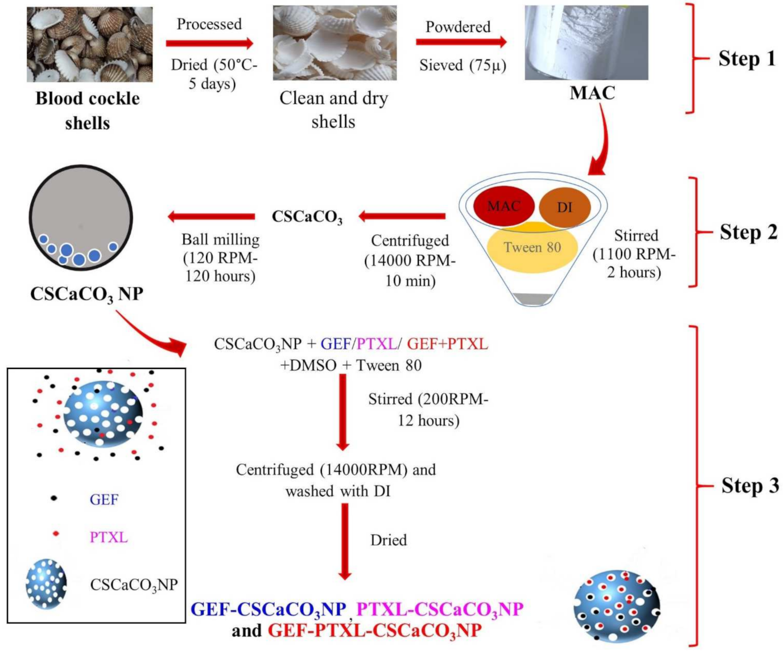 Nanomaterials 11 01988 g001