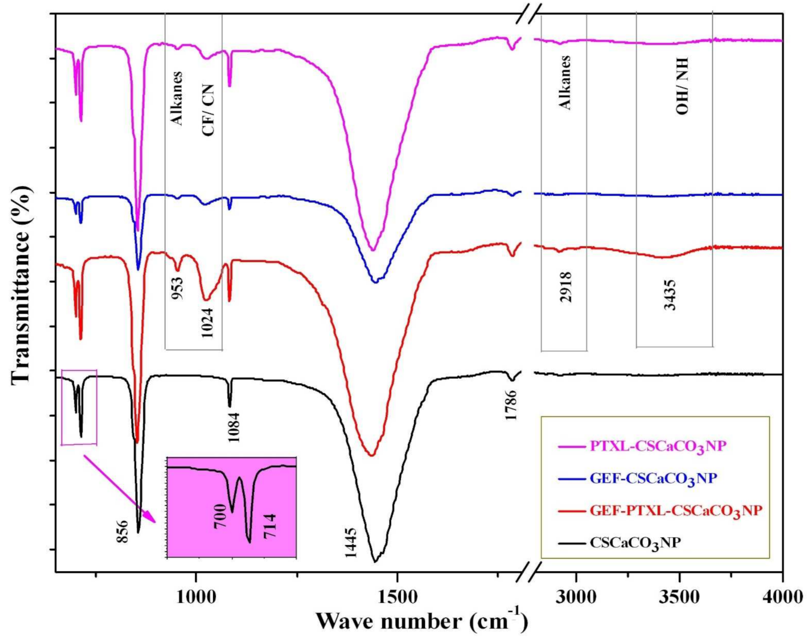 Nanomaterials 11 01988 g005