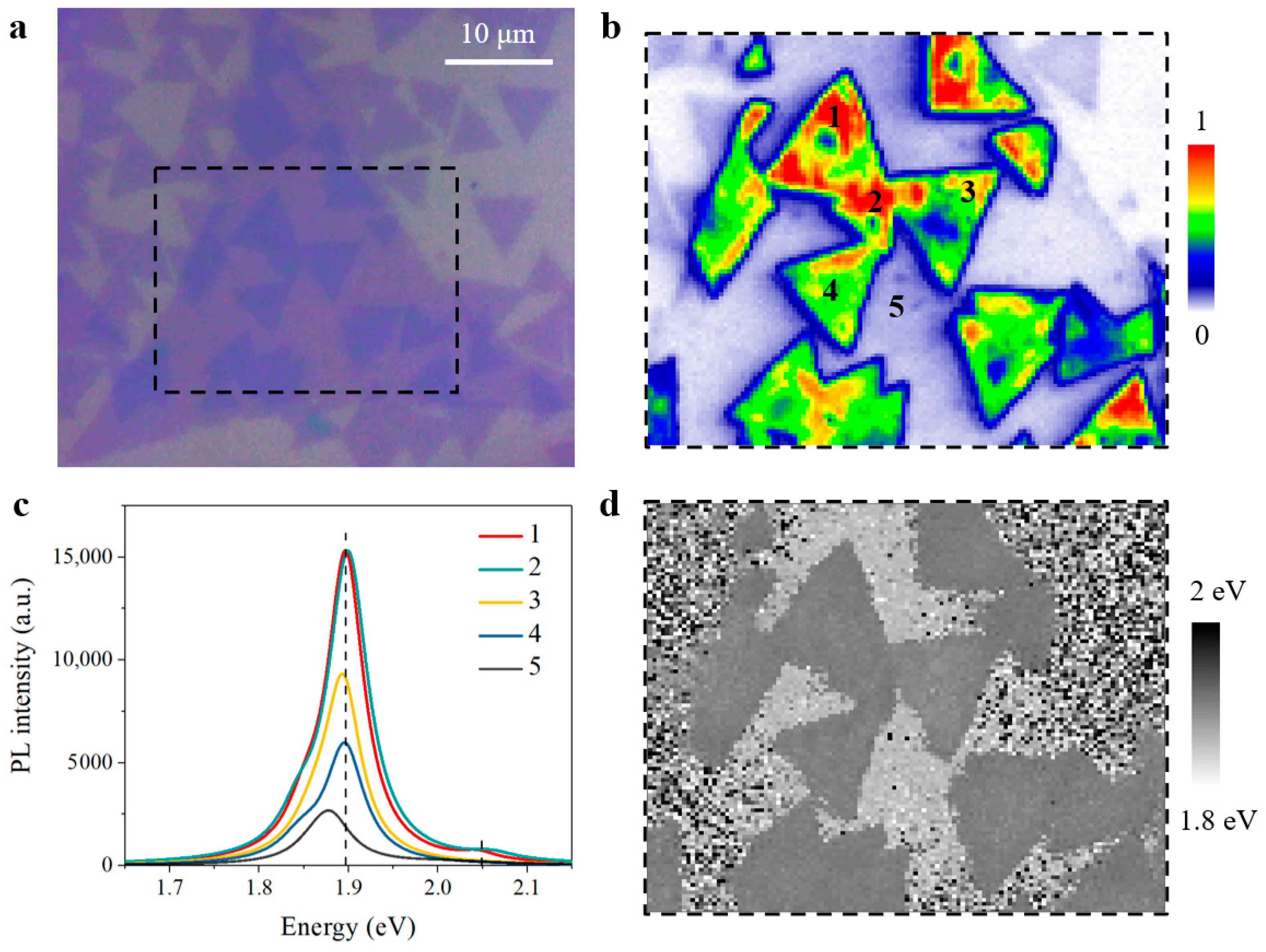 Nanomaterials 11 01994 g006