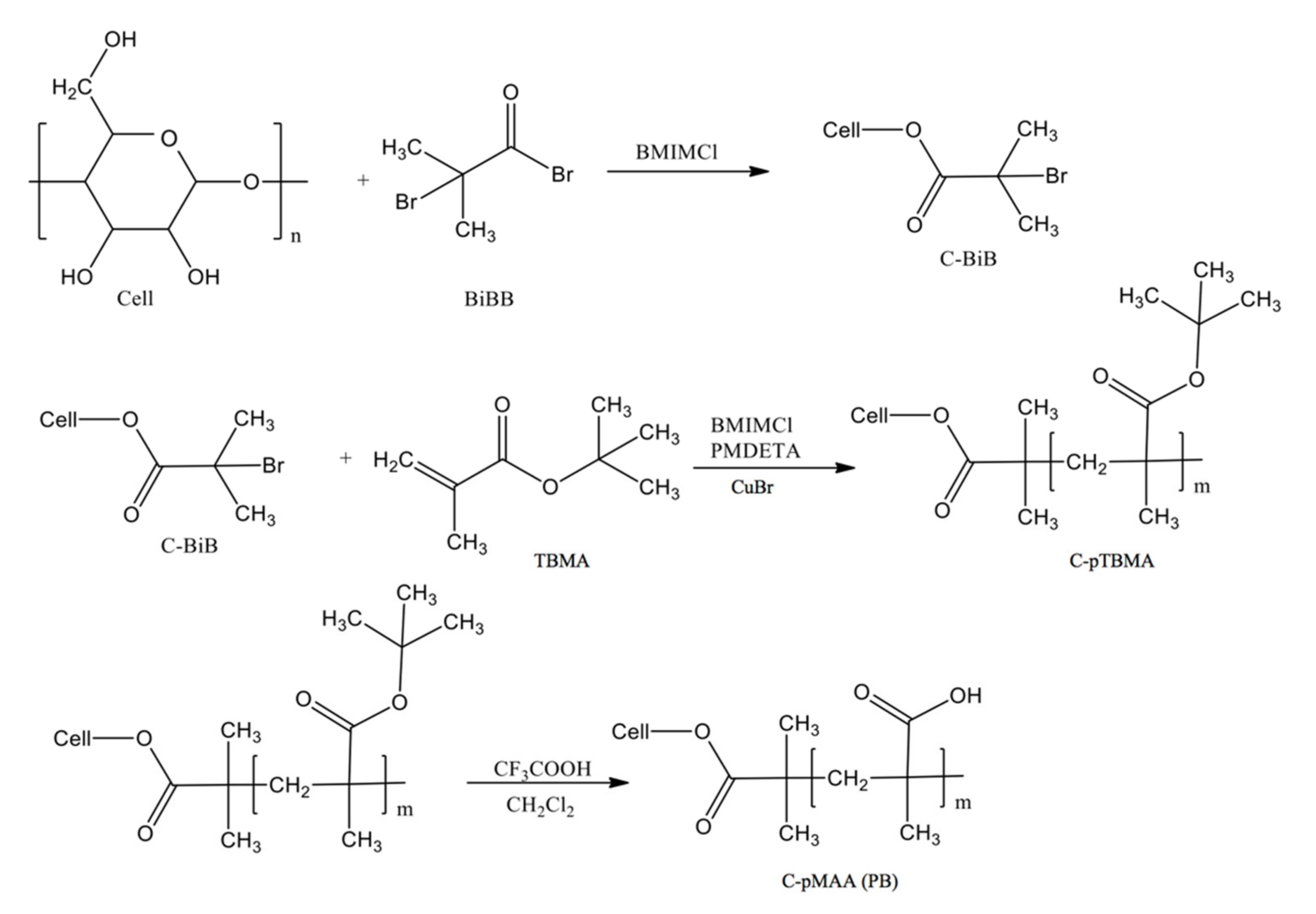 Nanomaterials 11 01997 sch001 Nanomaterials 11 01997 sch001
