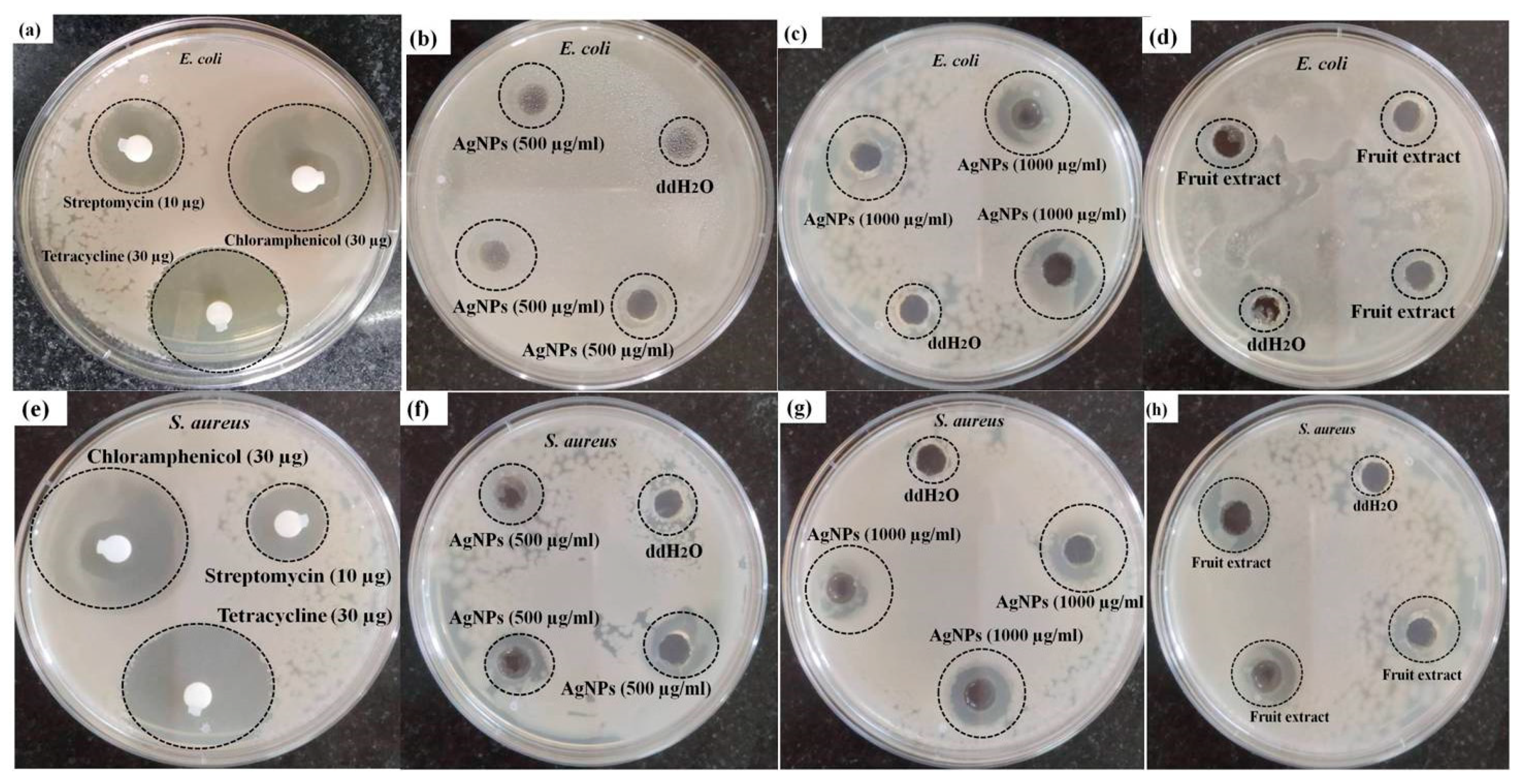 Nanomaterials 11 01999 g009
