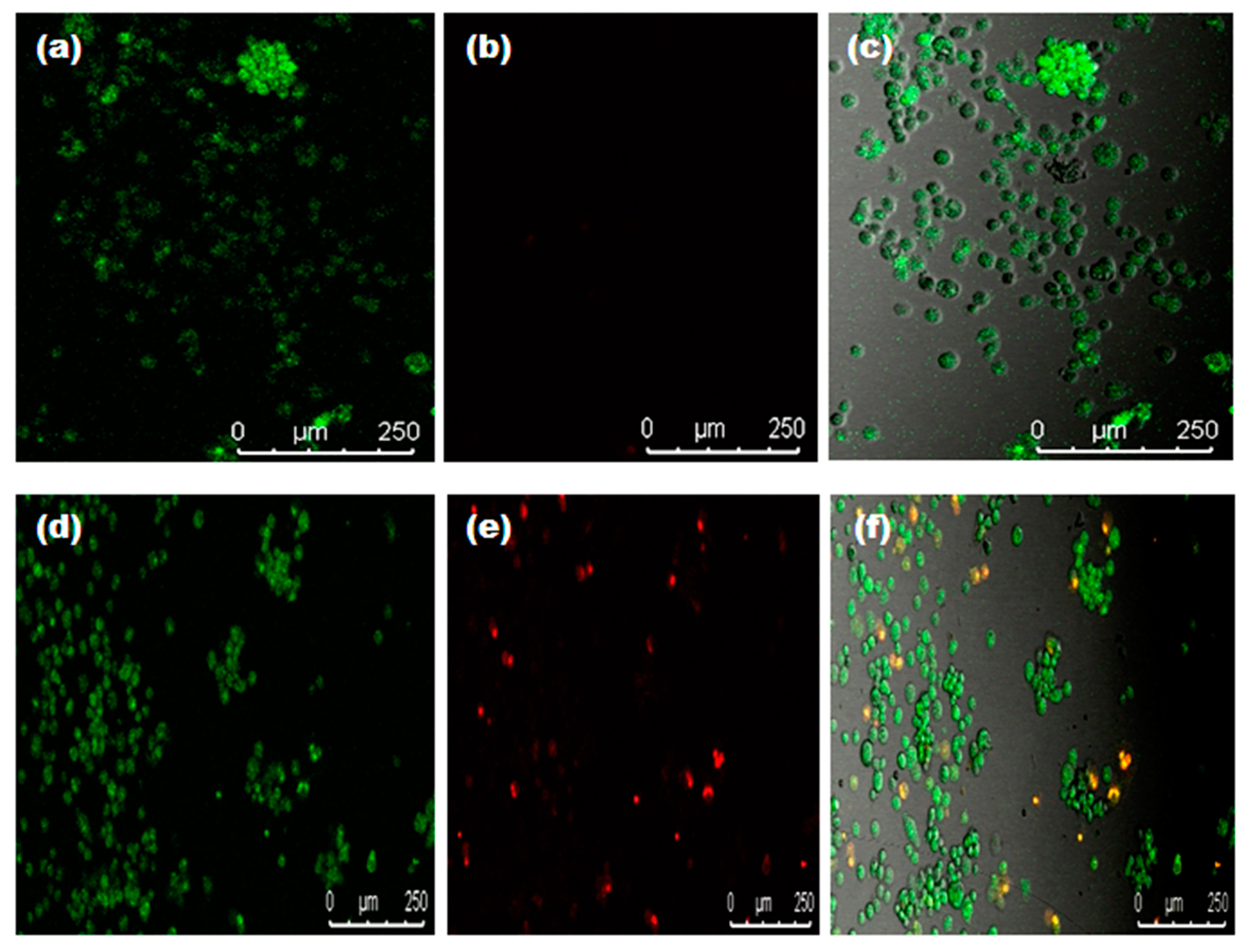 Nanomaterials 11 01999 g012