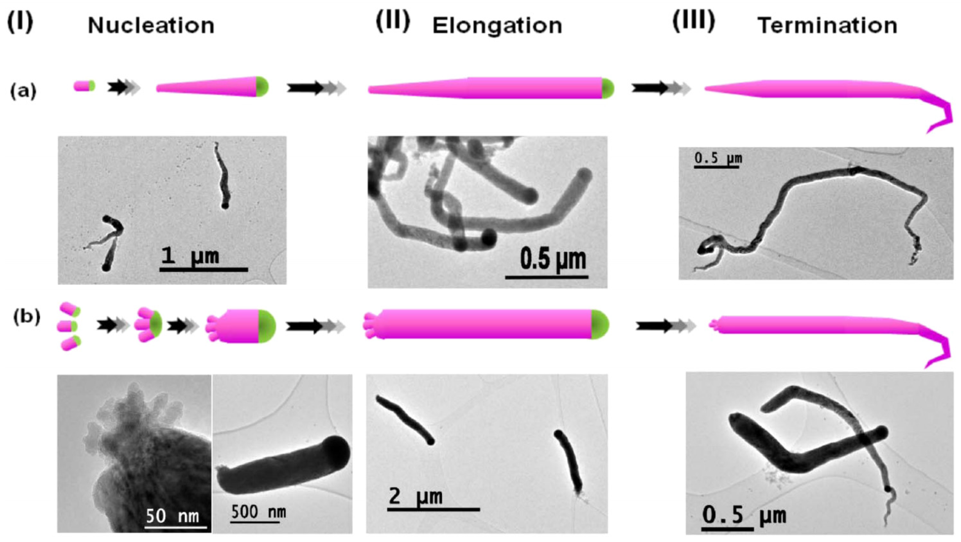 Nanomaterials 11 02002 g011