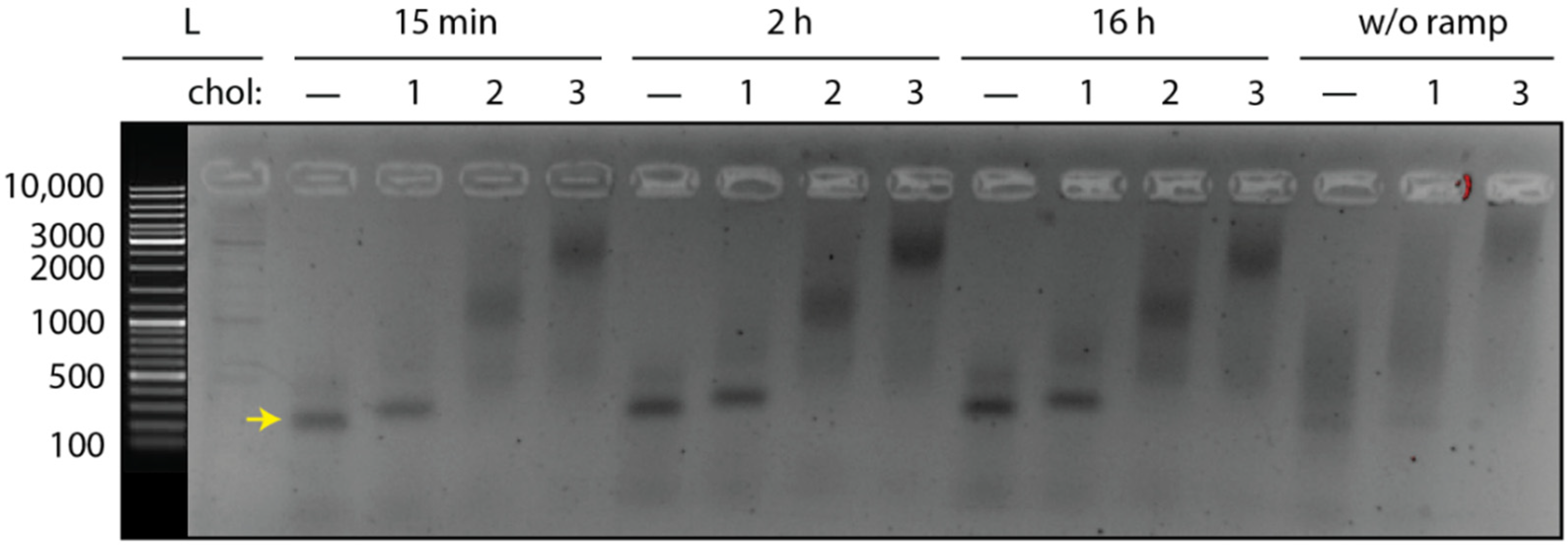 Nanomaterials 11 02003 g001