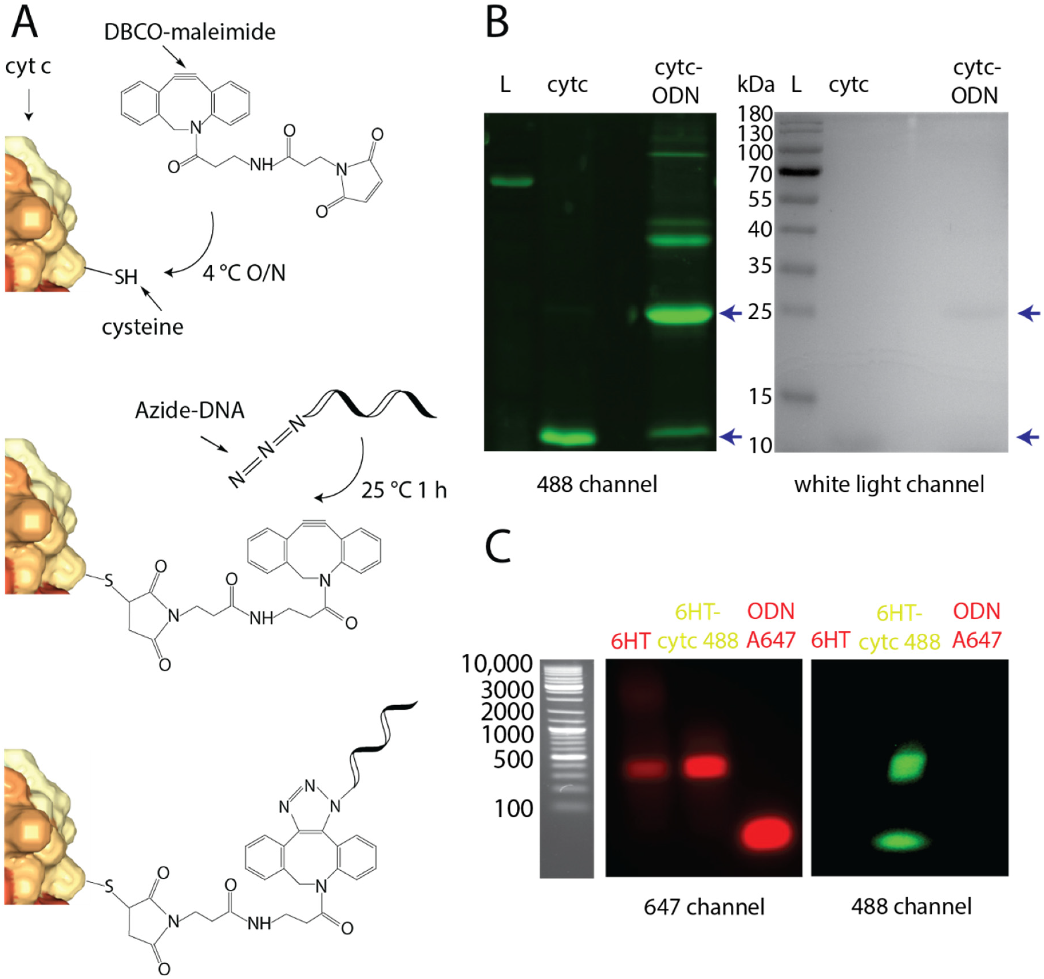 Nanomaterials 11 02003 g002