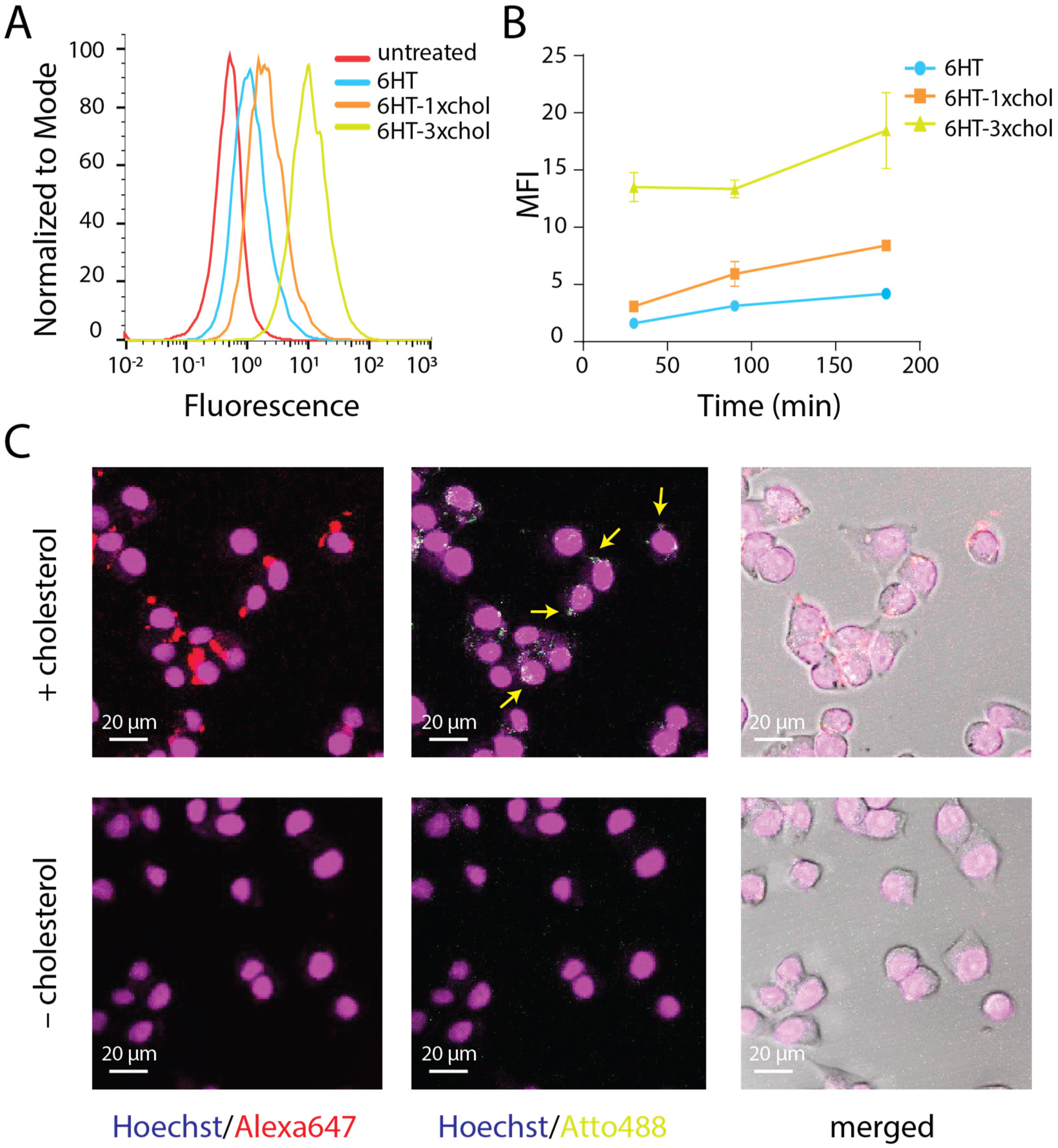 Nanomaterials 11 02003 g003