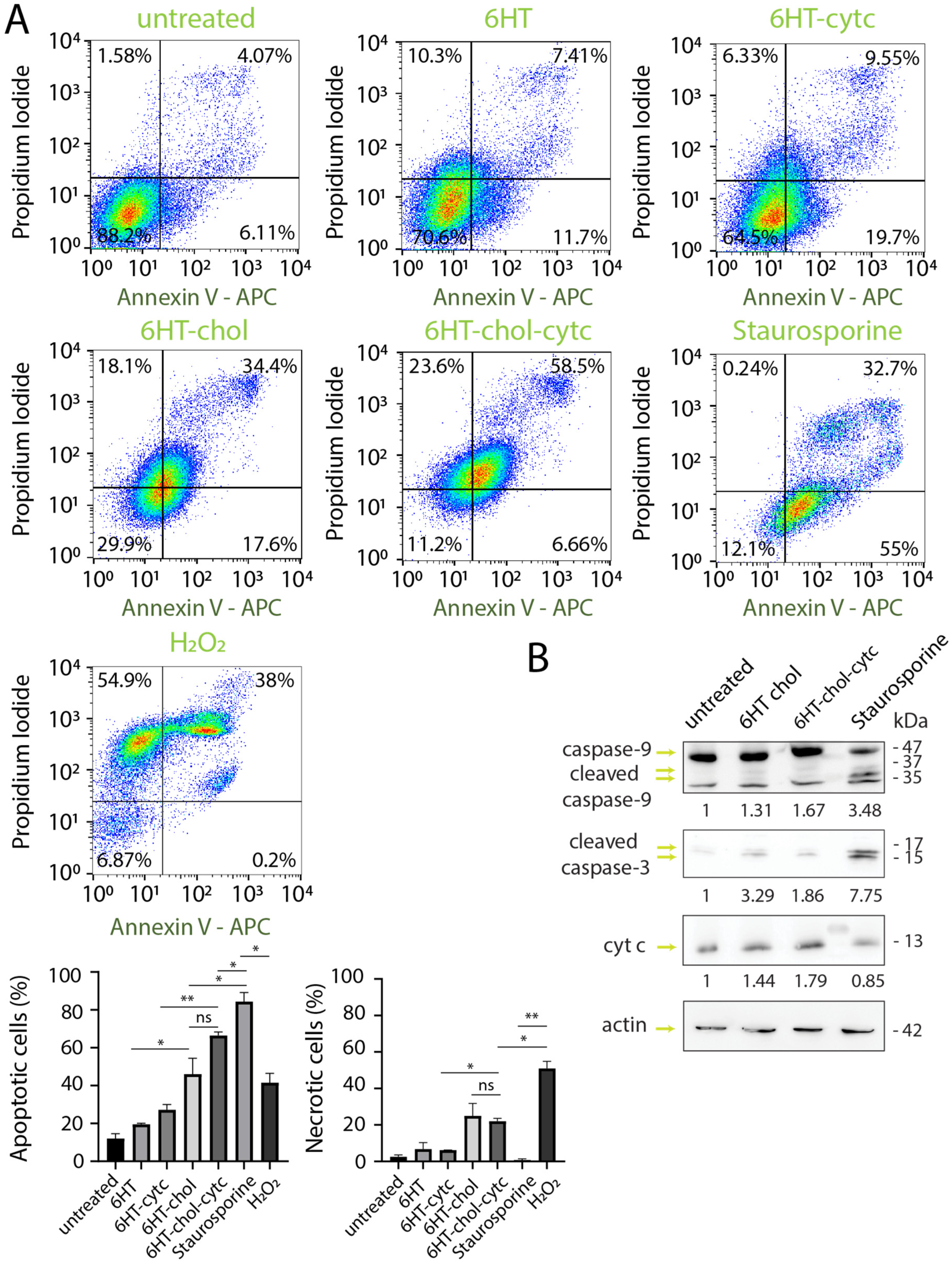 Nanomaterials 11 02003 g005