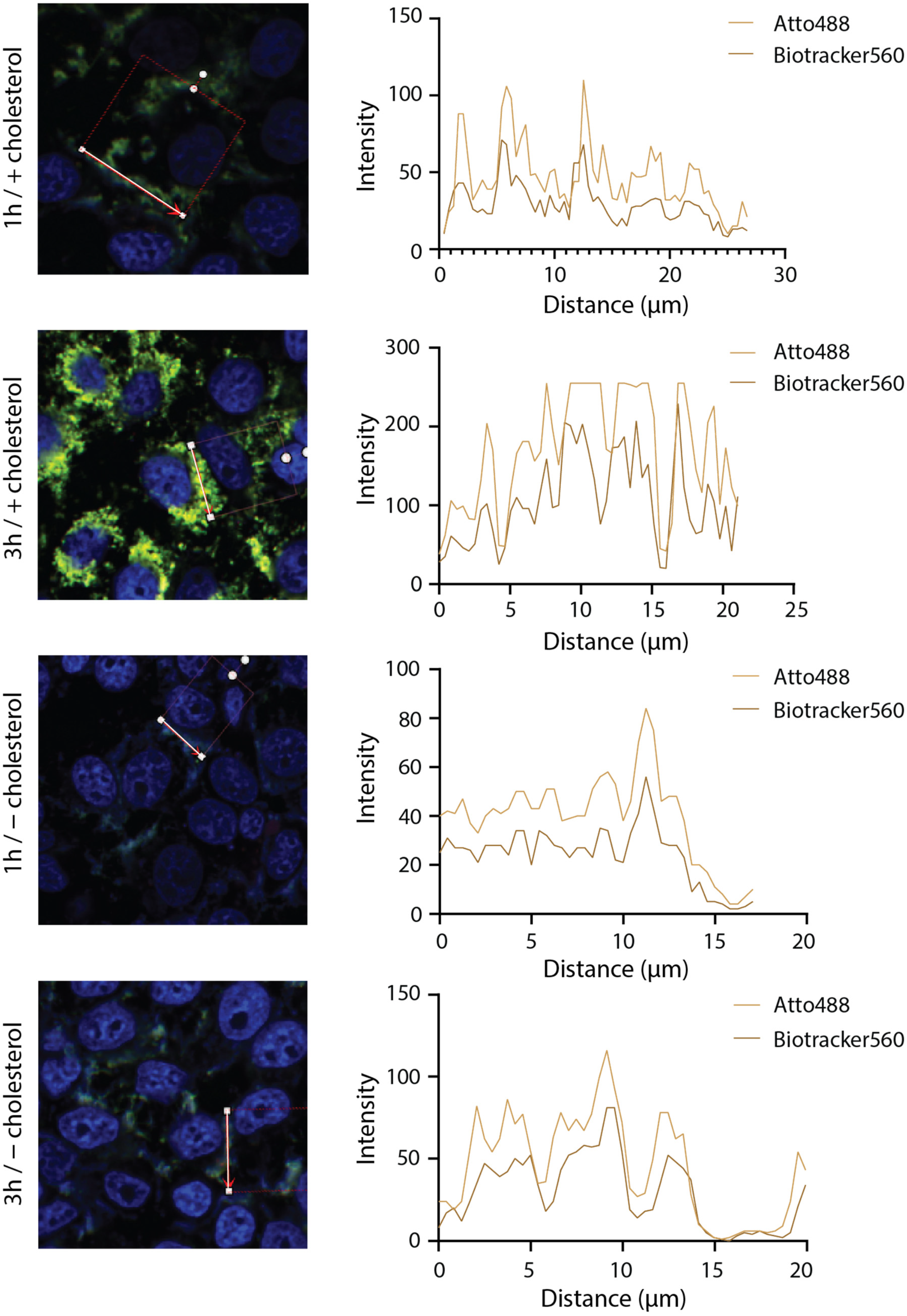 Nanomaterials 11 02003 g0a3