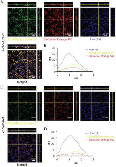 Nanomaterials 11 02003 g0a4