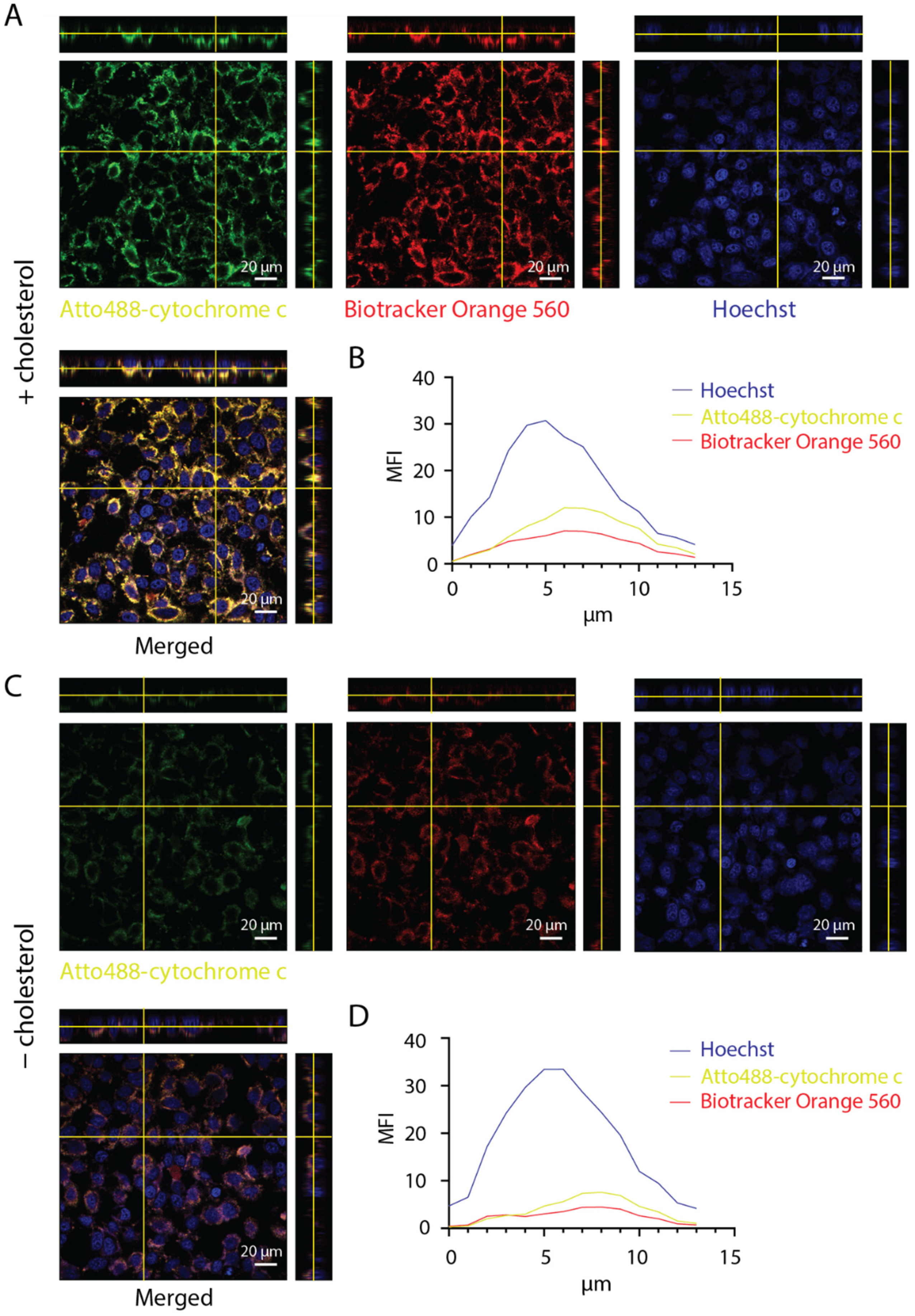 Nanomaterials 11 02003 g0a4